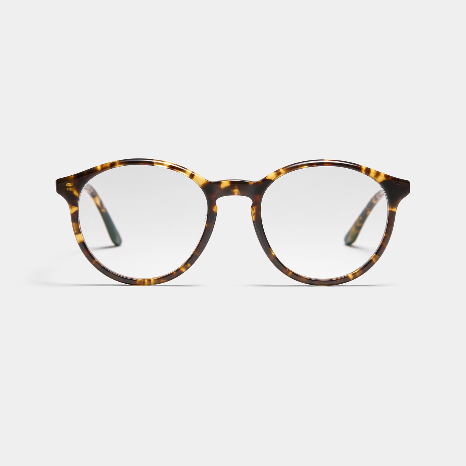 Java - Yellow Tortoise