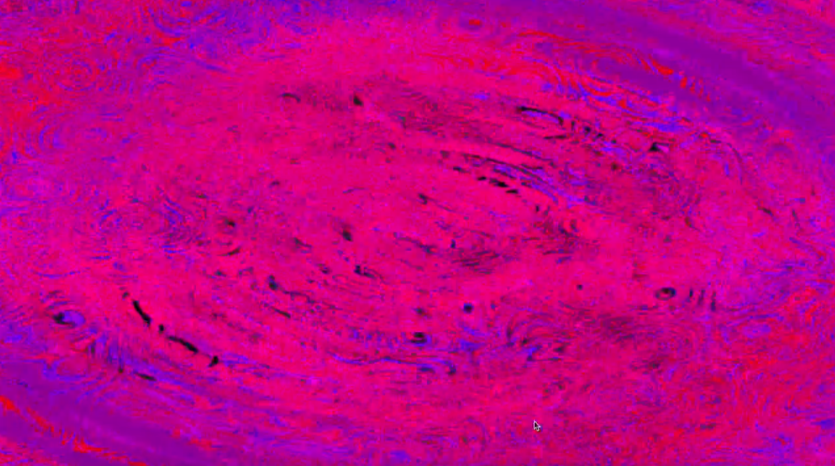 Girl Scout Camp - Elyssa