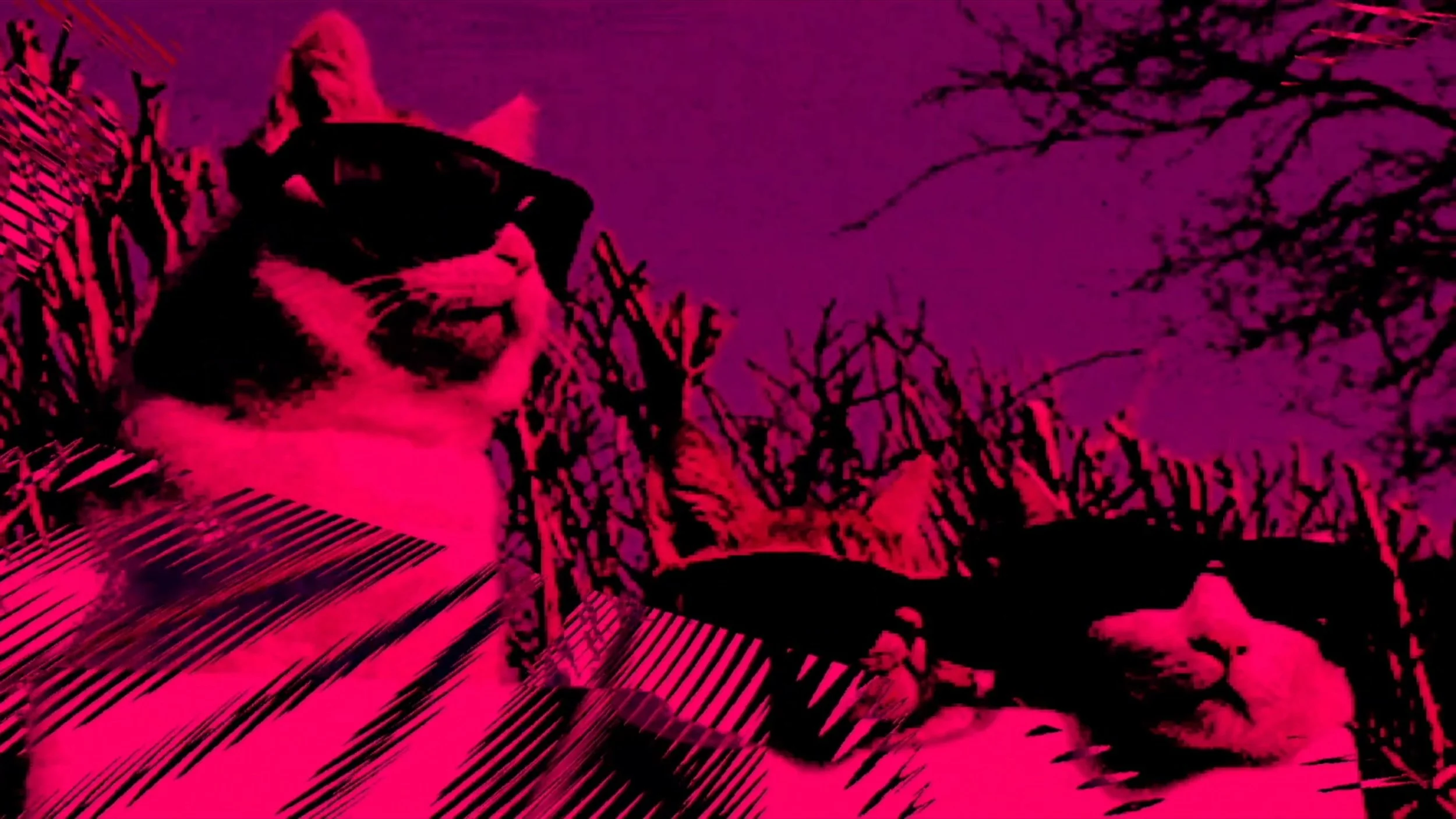 Screen Shot 2023-06-16 at 5.29.56 AM.jpg