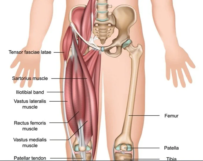 Surgery and Massage: A Focus on Total Knee Replacement