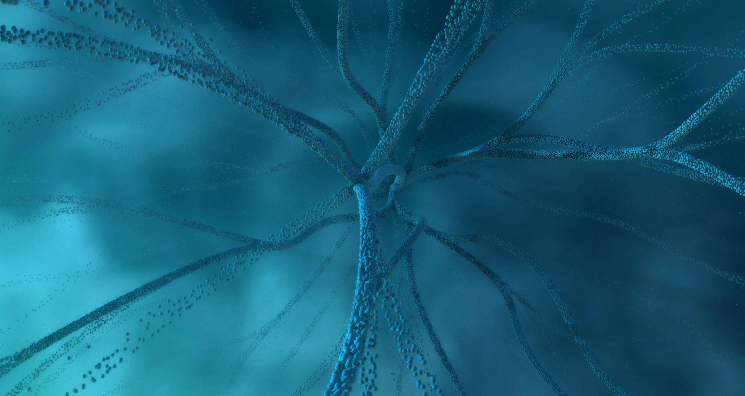The Body-Brain Connection