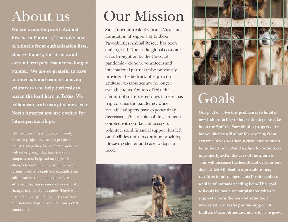 About 5 — Endless Pawsabilities
