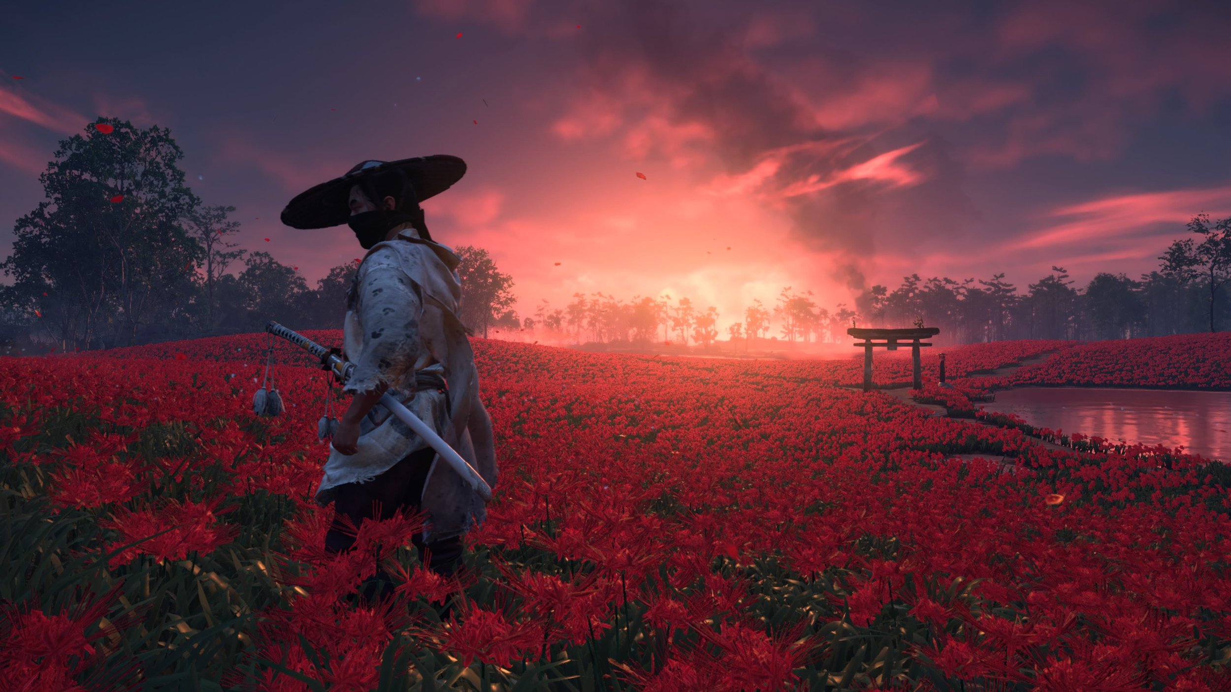 Ghost of Tsushima's 'huge' map could take many hours to complete