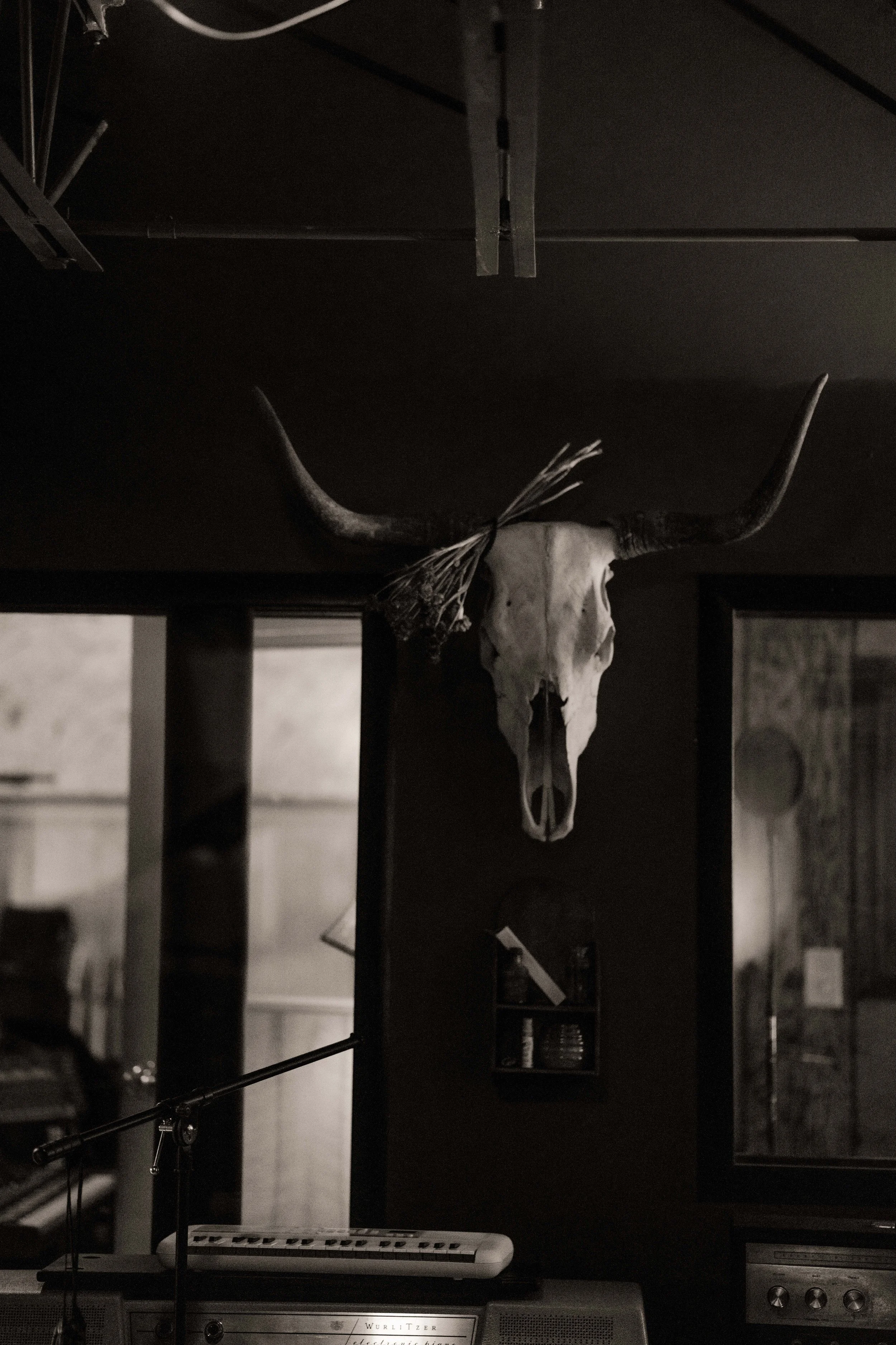 Bristol Coon Studio (59 of 322).jpg