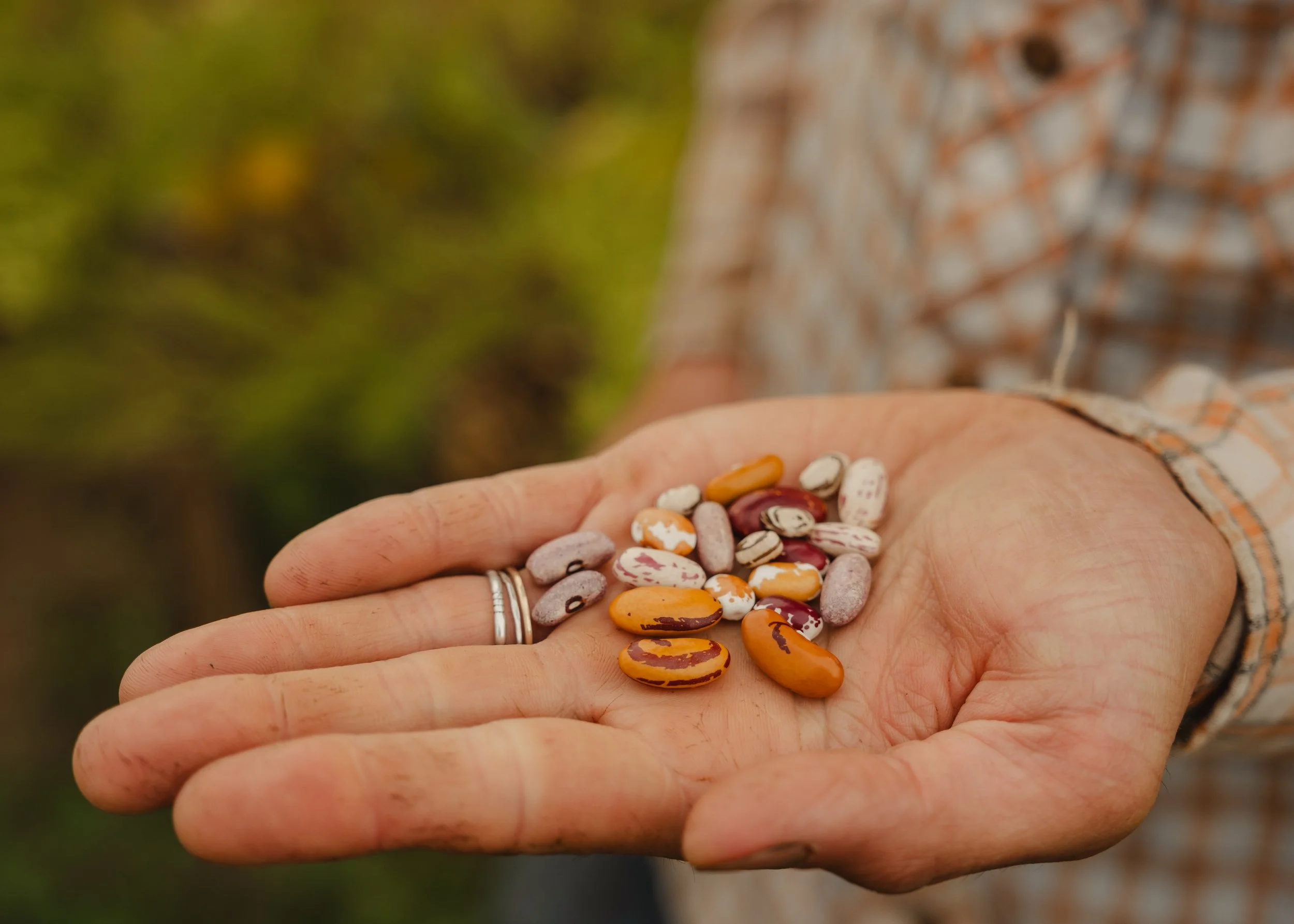 person holding beans.