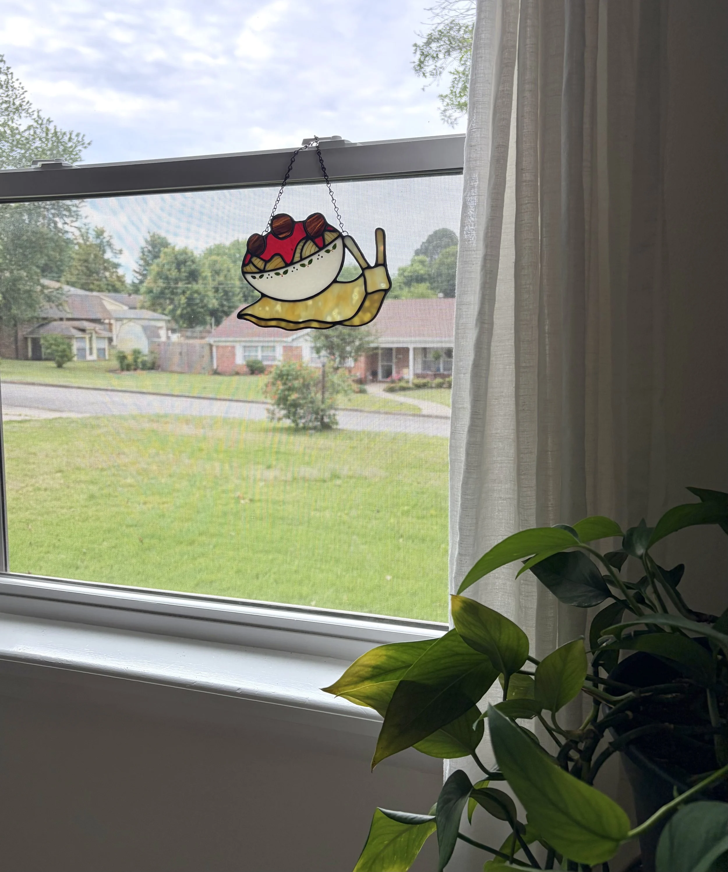 IMG_4072.jpeg