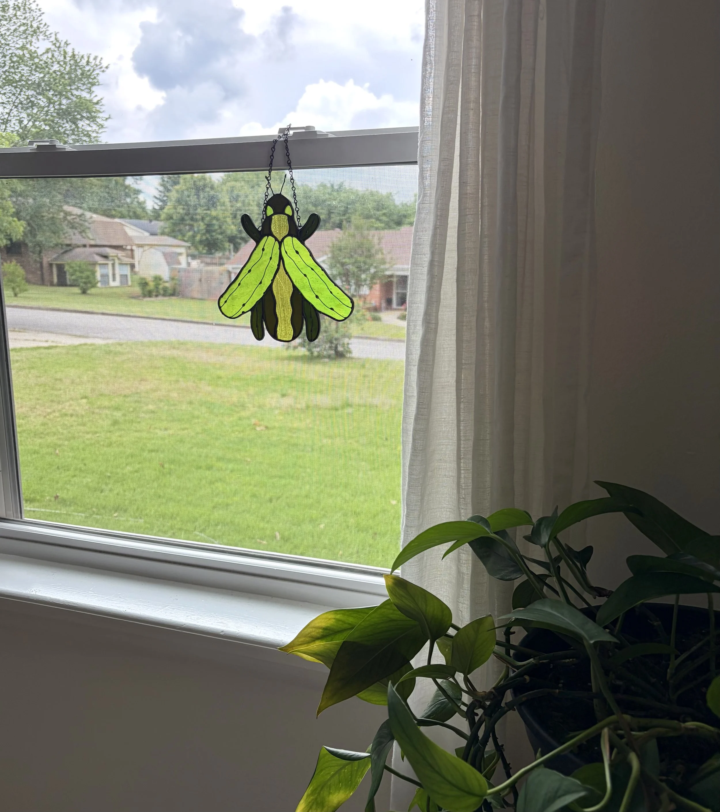 IMG_4218.jpeg