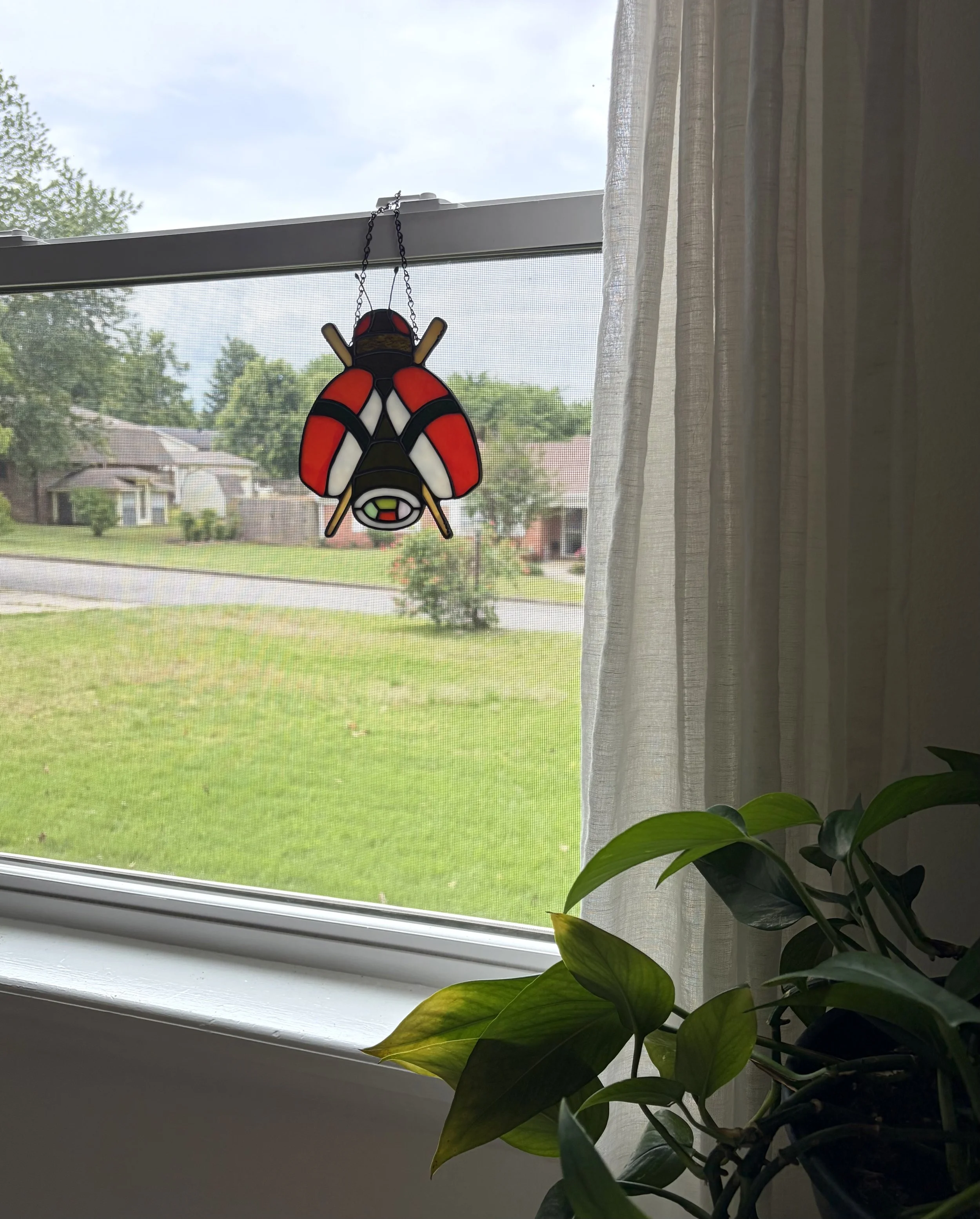 IMG_4111.jpeg