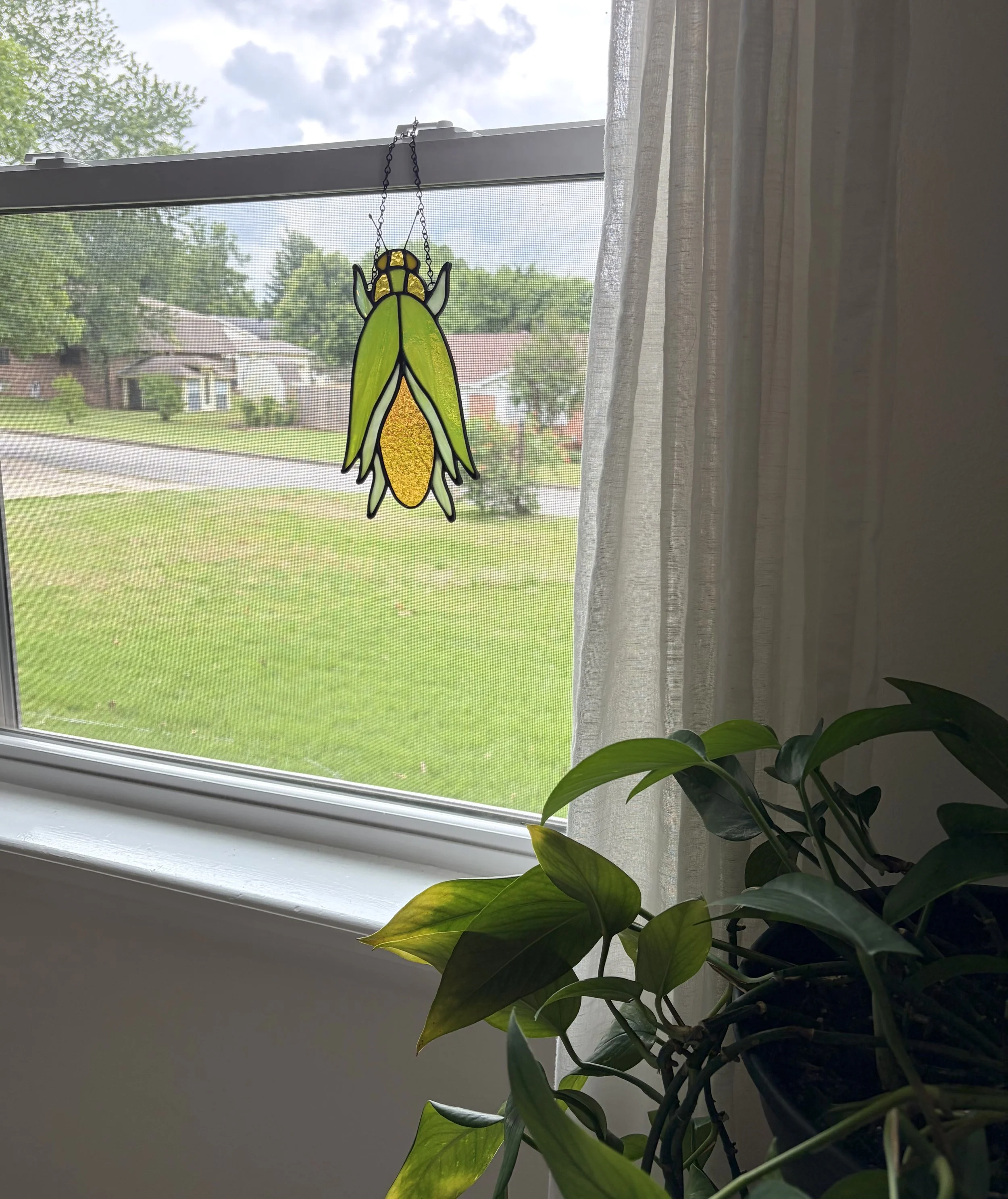IMG_4204.jpeg