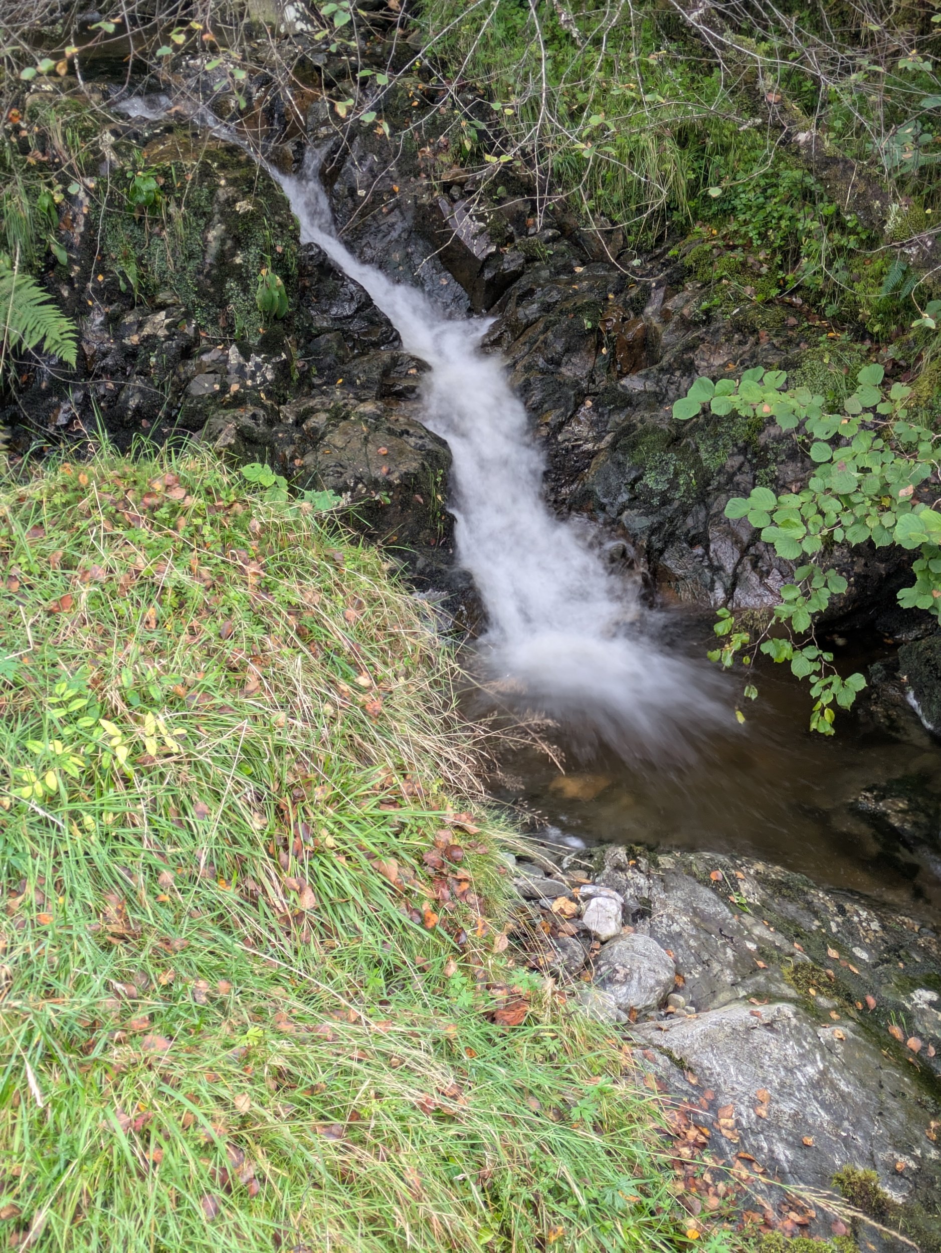processed_PXL_20260916_121748280.LONG_EXPOSURE-01.COVER.jpg