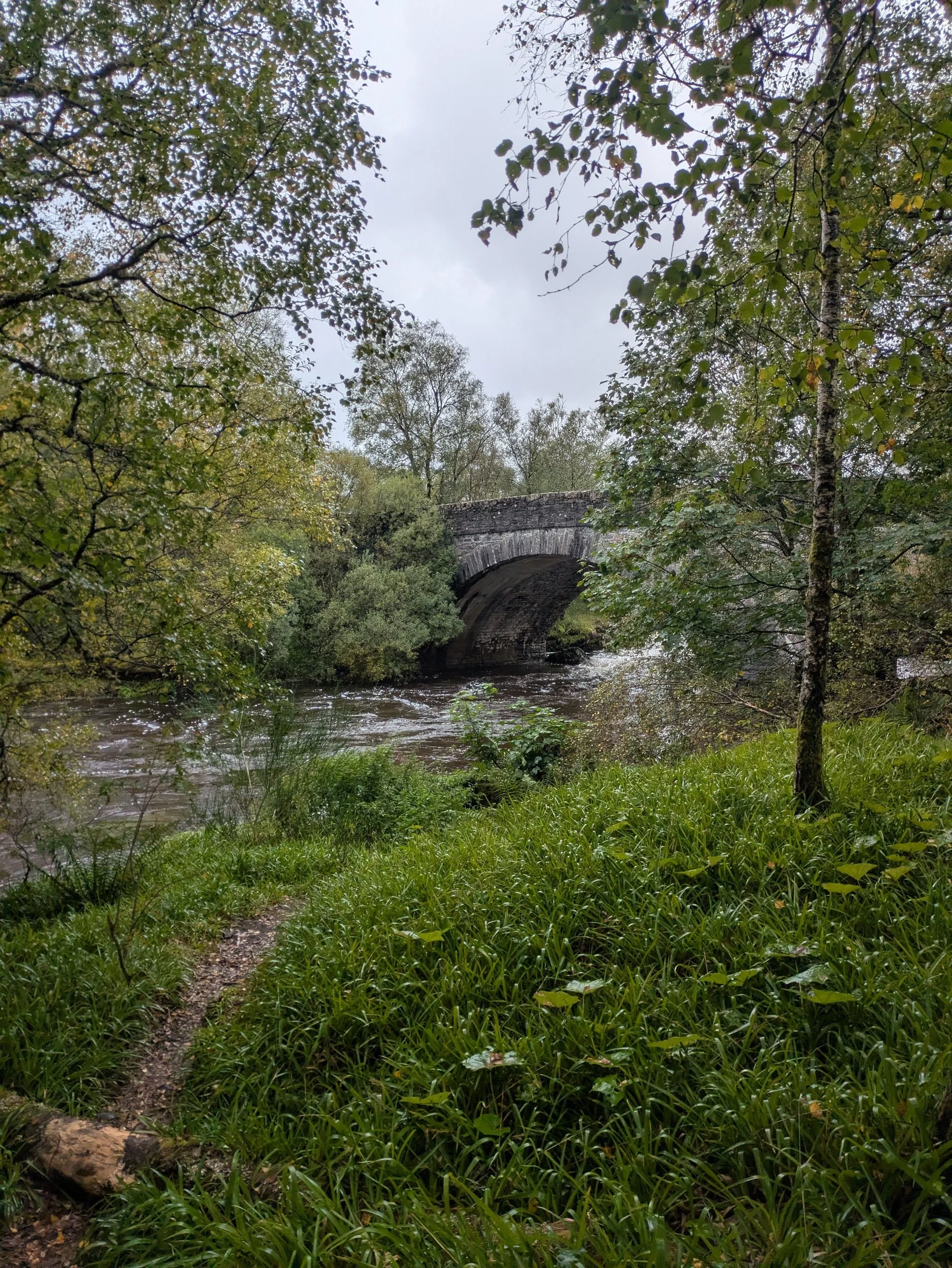 processed_PXL_20260917_092018812.jpg