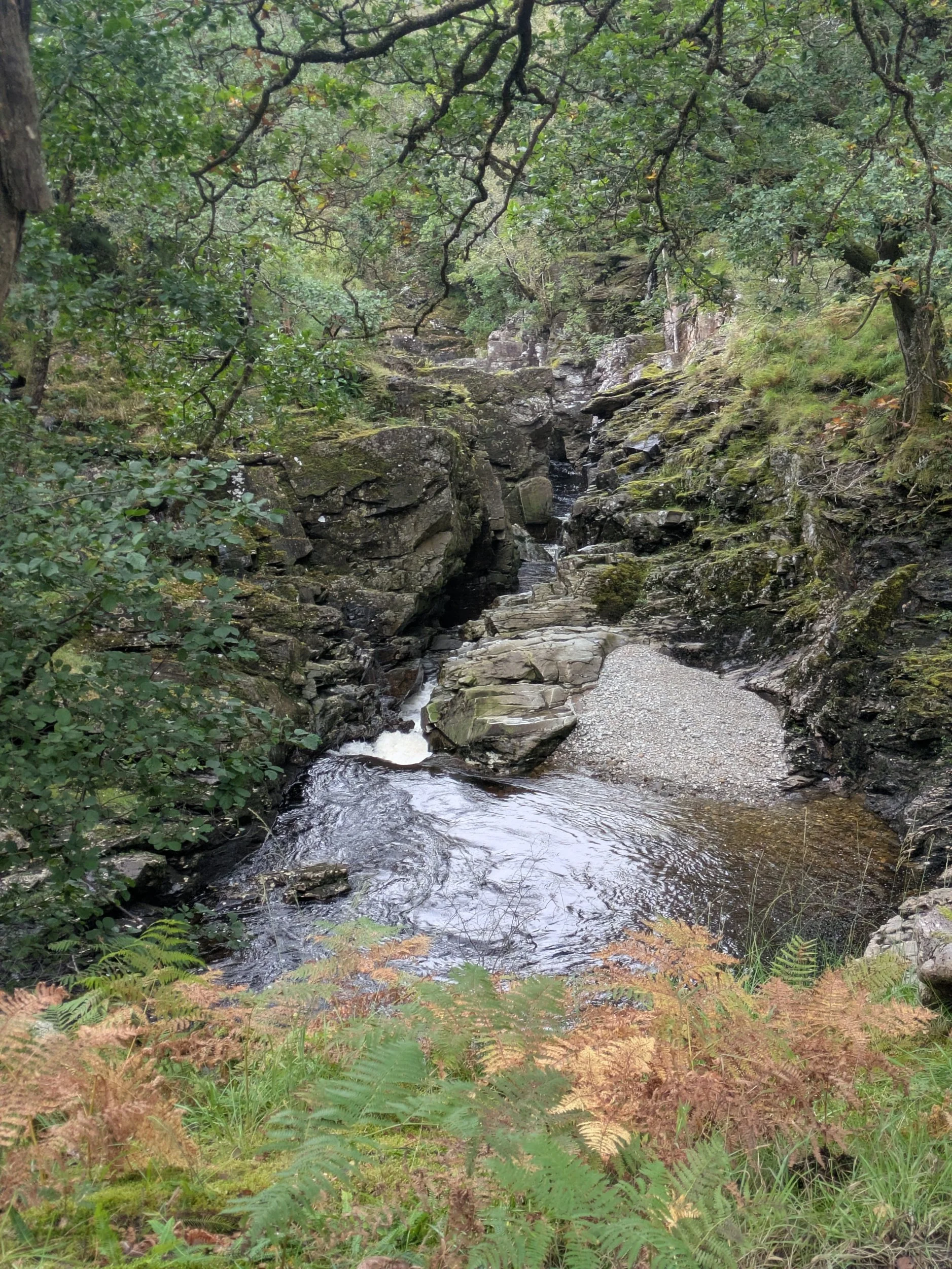 processed_PXL_20260916_122722354.jpg
