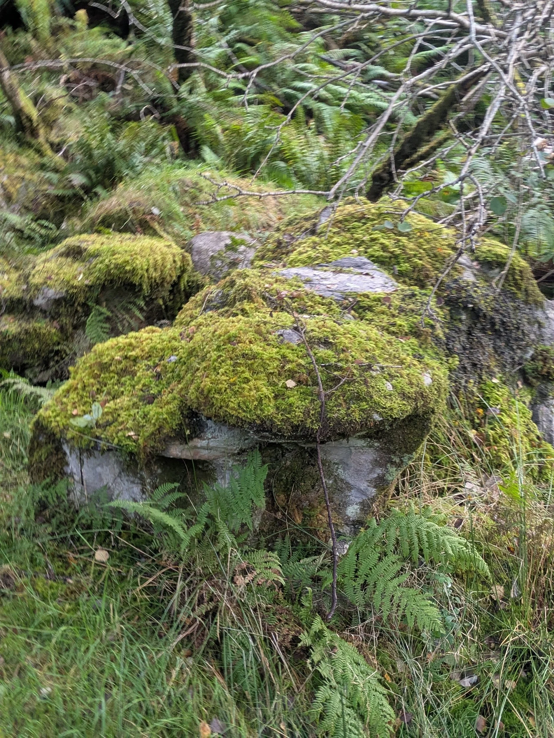 processed_PXL_20260919_141529871.MP.jpg