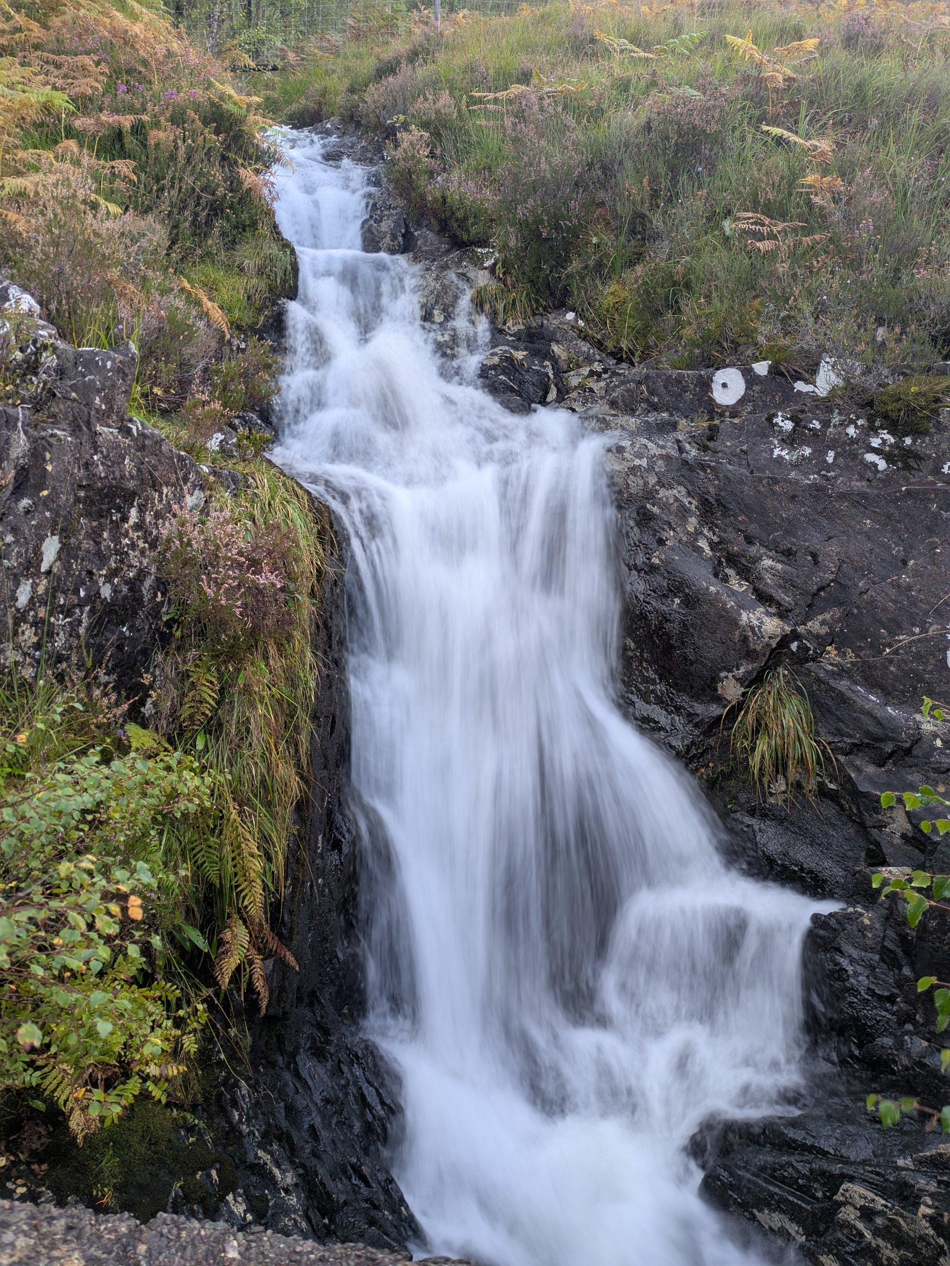 processed_PXL_20260919_140336098.LONG_EXPOSURE-01.COVER.jpg
