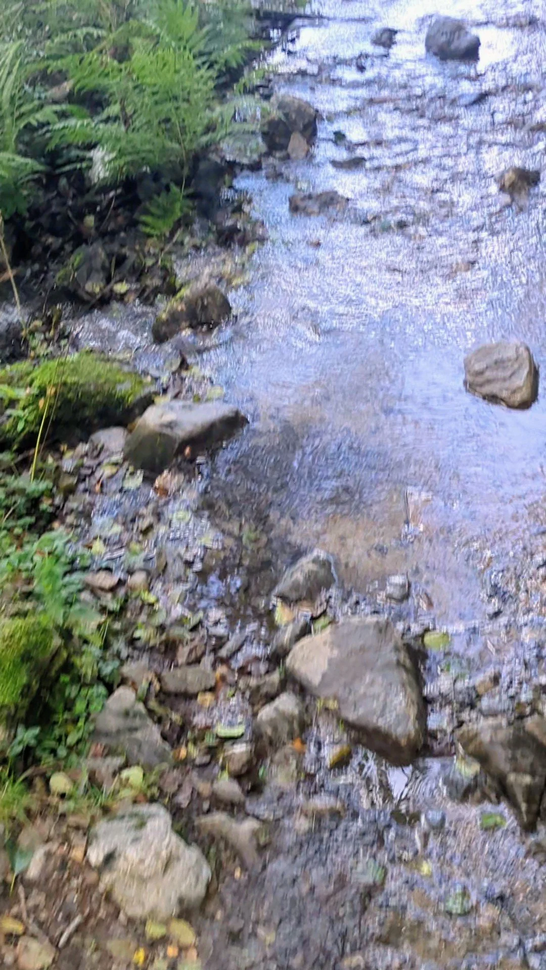 PXL_20260915_163537377.TS_exported_871~2.jpg