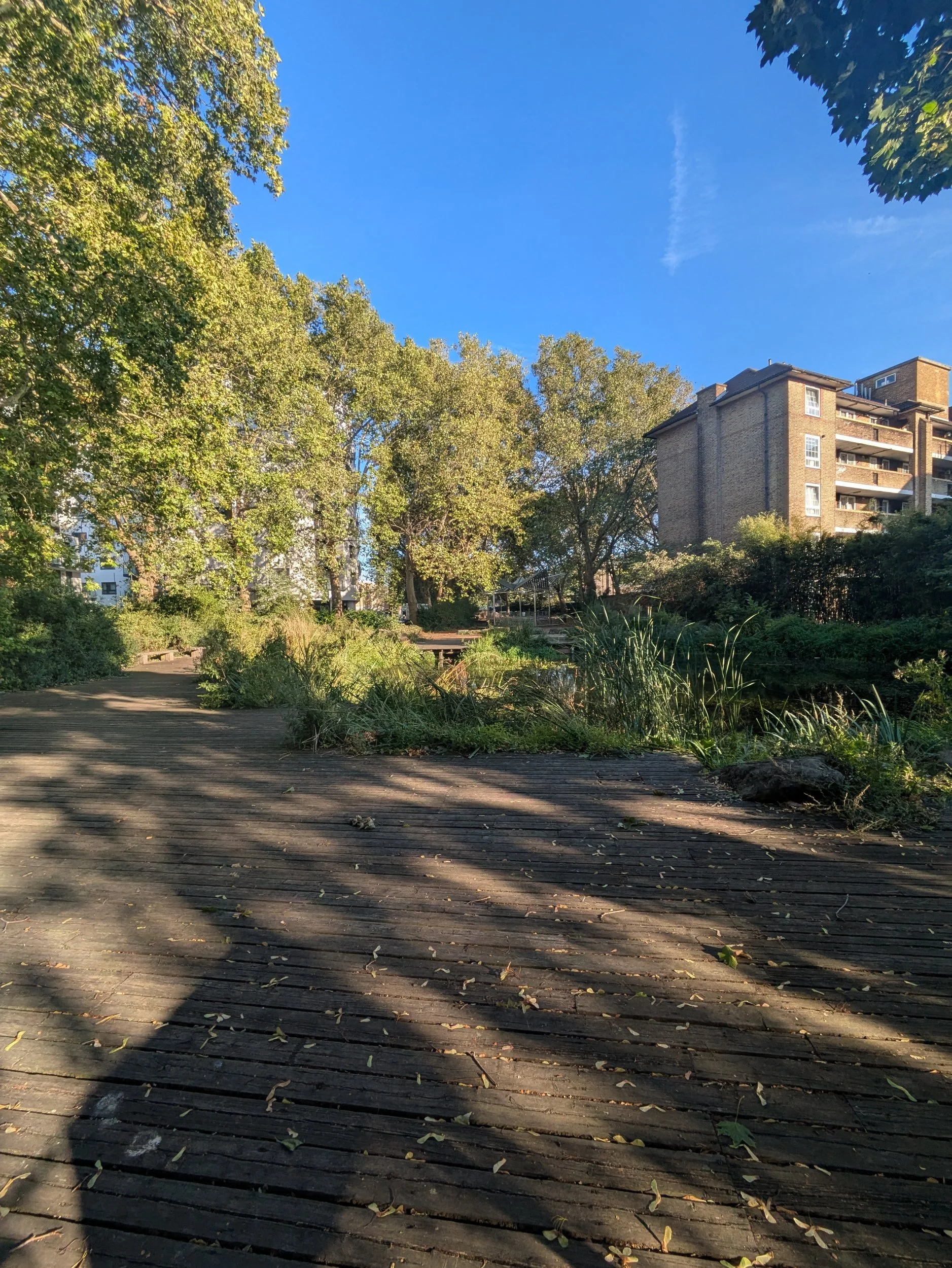 processed_PXL_20250919_160604237.jpg