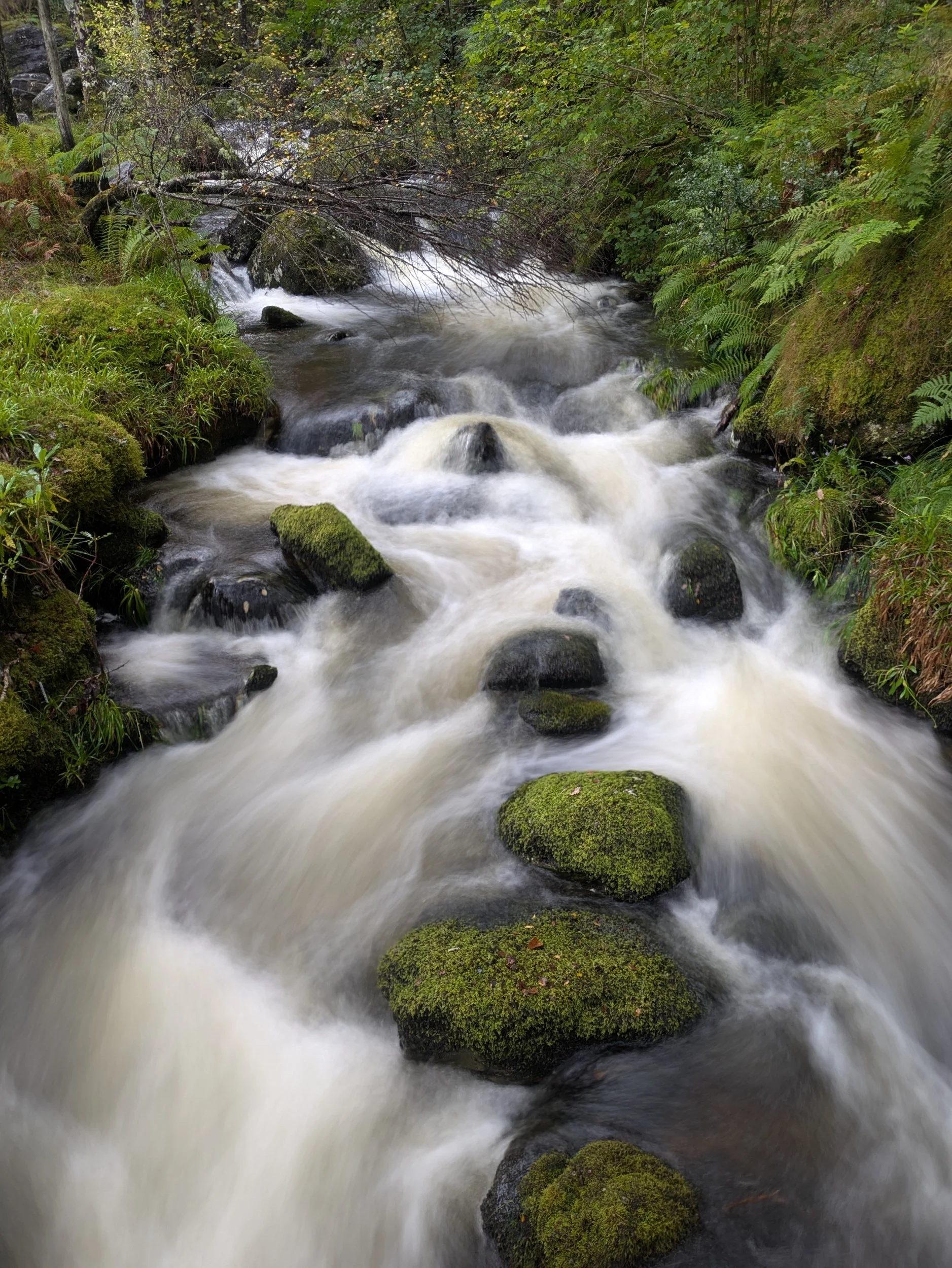 processed_PXL_20260915_130823390.LONG_EXPOSURE-01.COVER.jpg