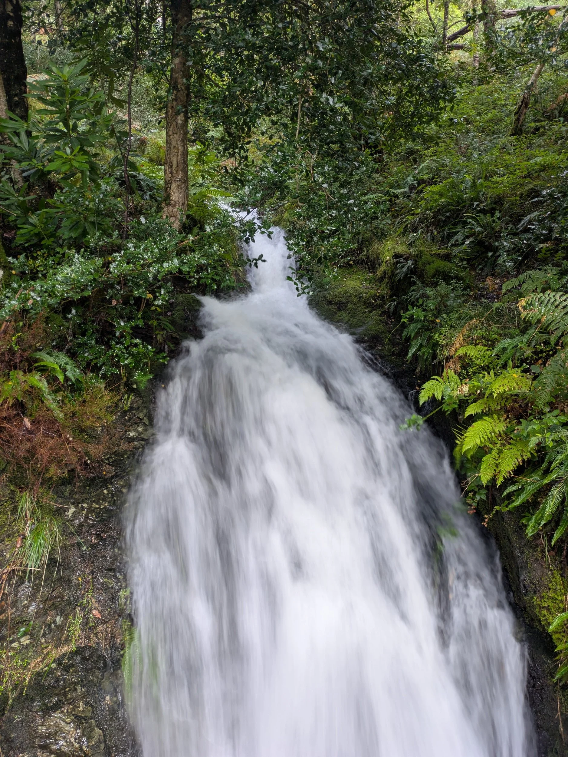 processed_PXL_20260915_104012331.LONG_EXPOSURE-01.COVER.jpg
