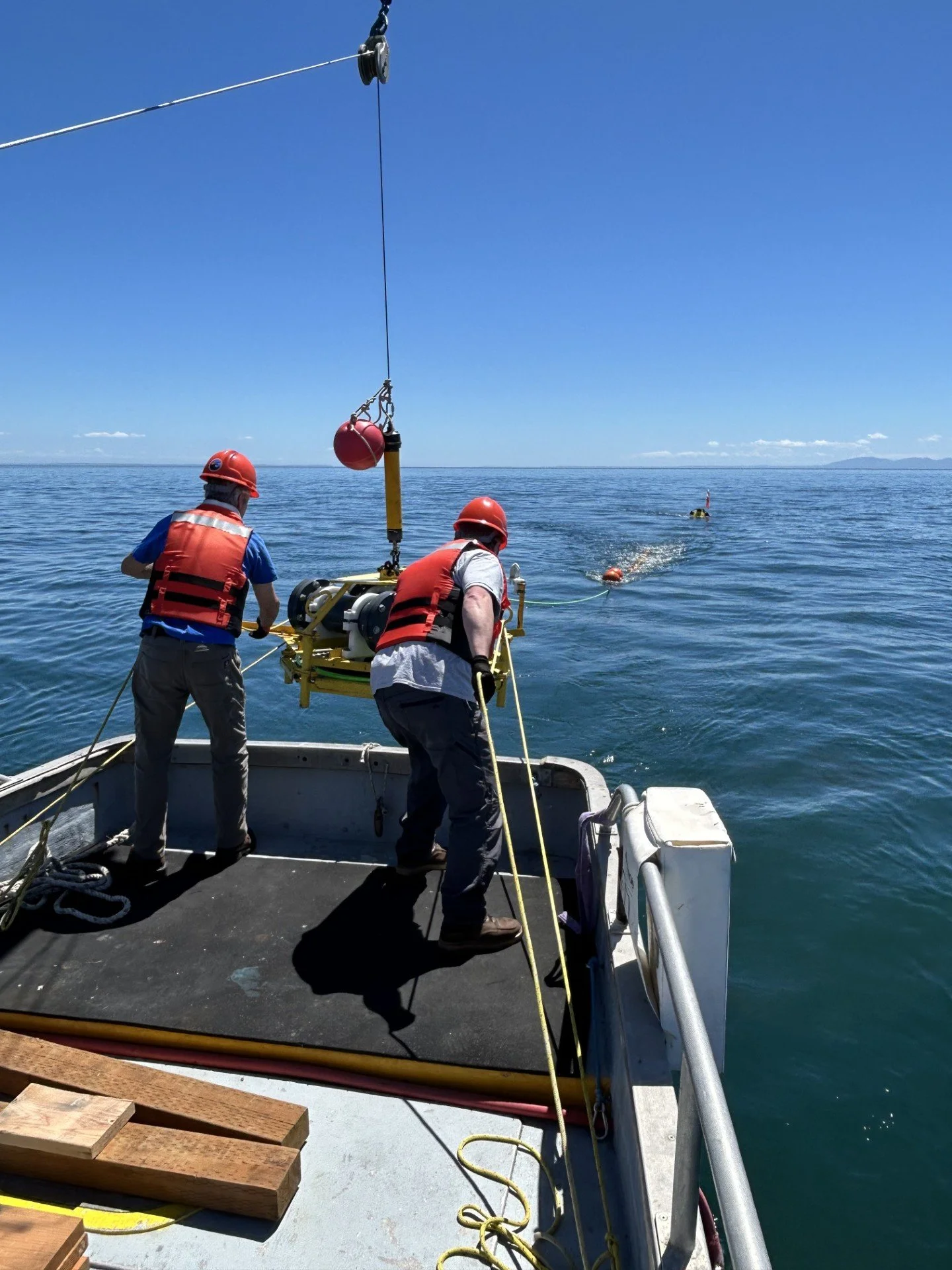 The sound of survival: charting a quieter ocean