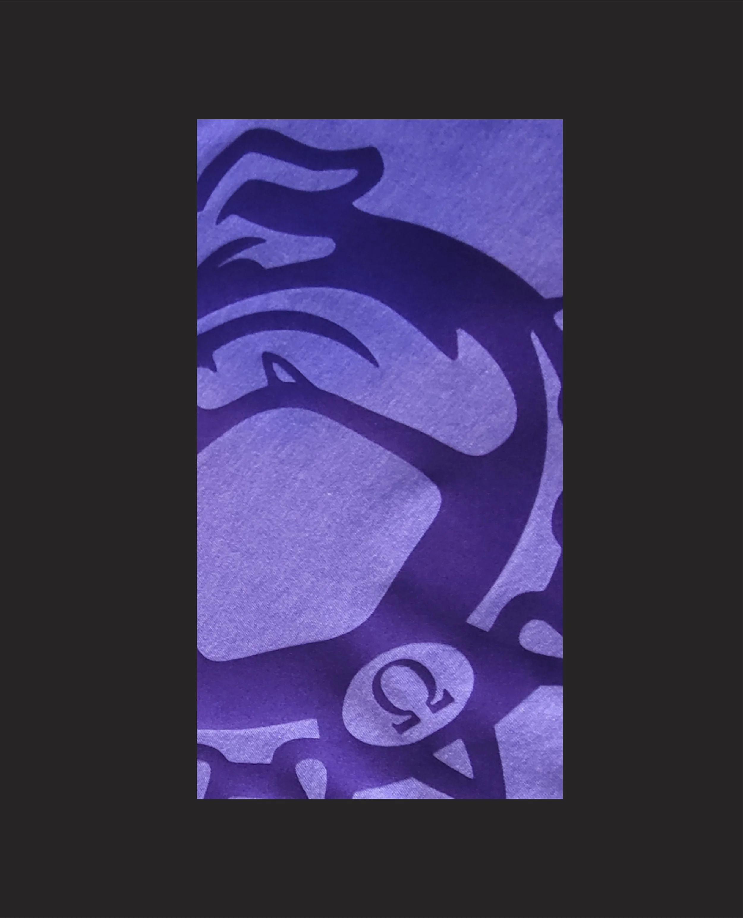 Asset 5@200x-80.jpg