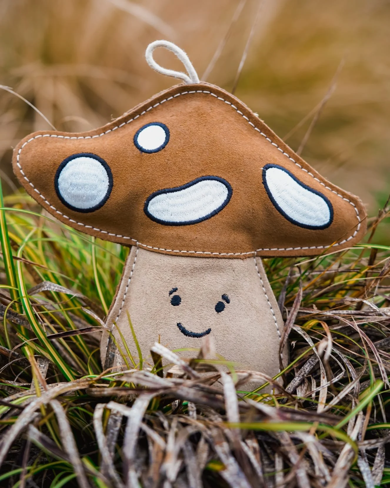Chestnut the mushroom.jpeg