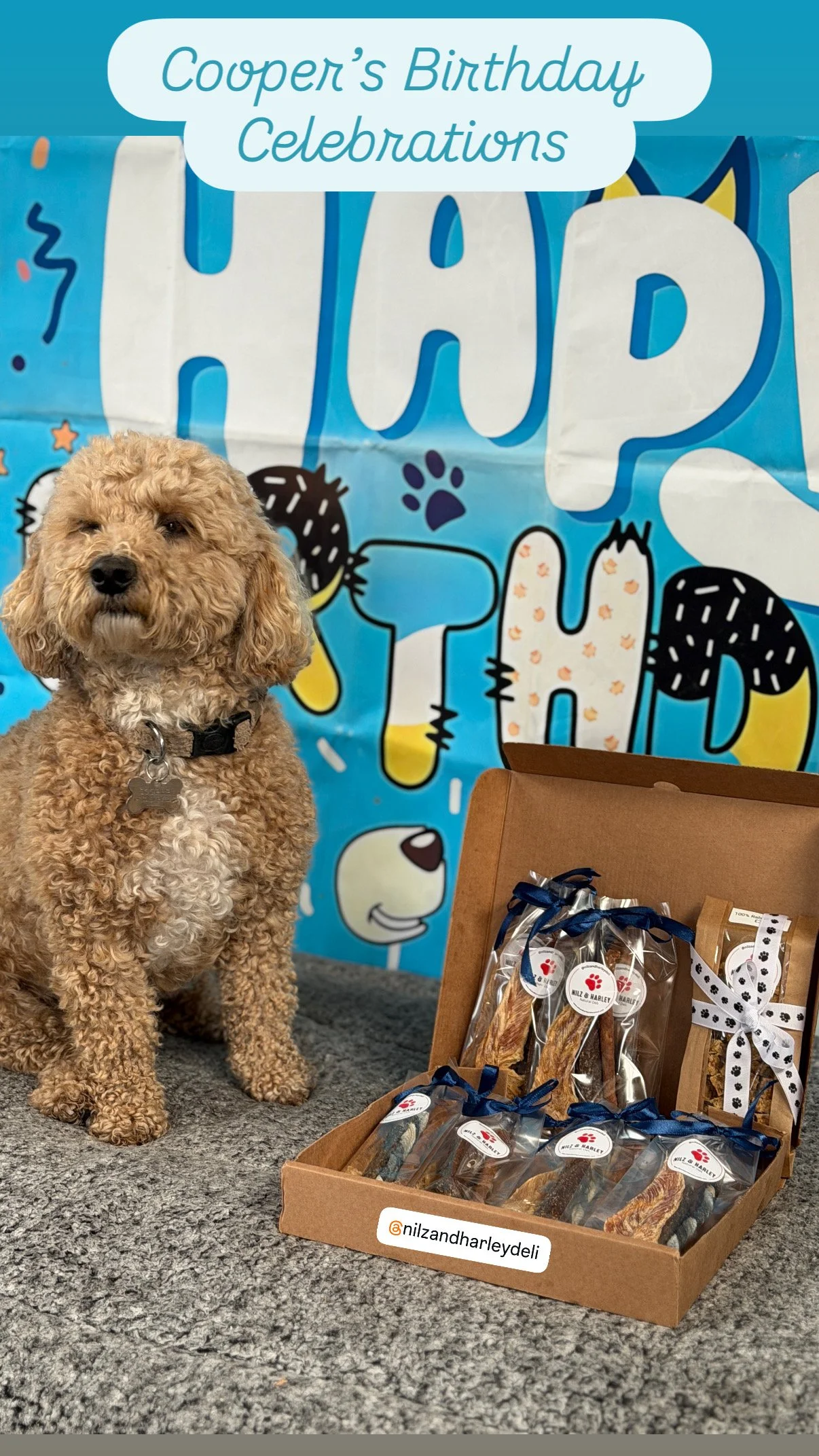 F6AE7694-E841-4F7F-817E-FCCBCA134CC8.jpeg