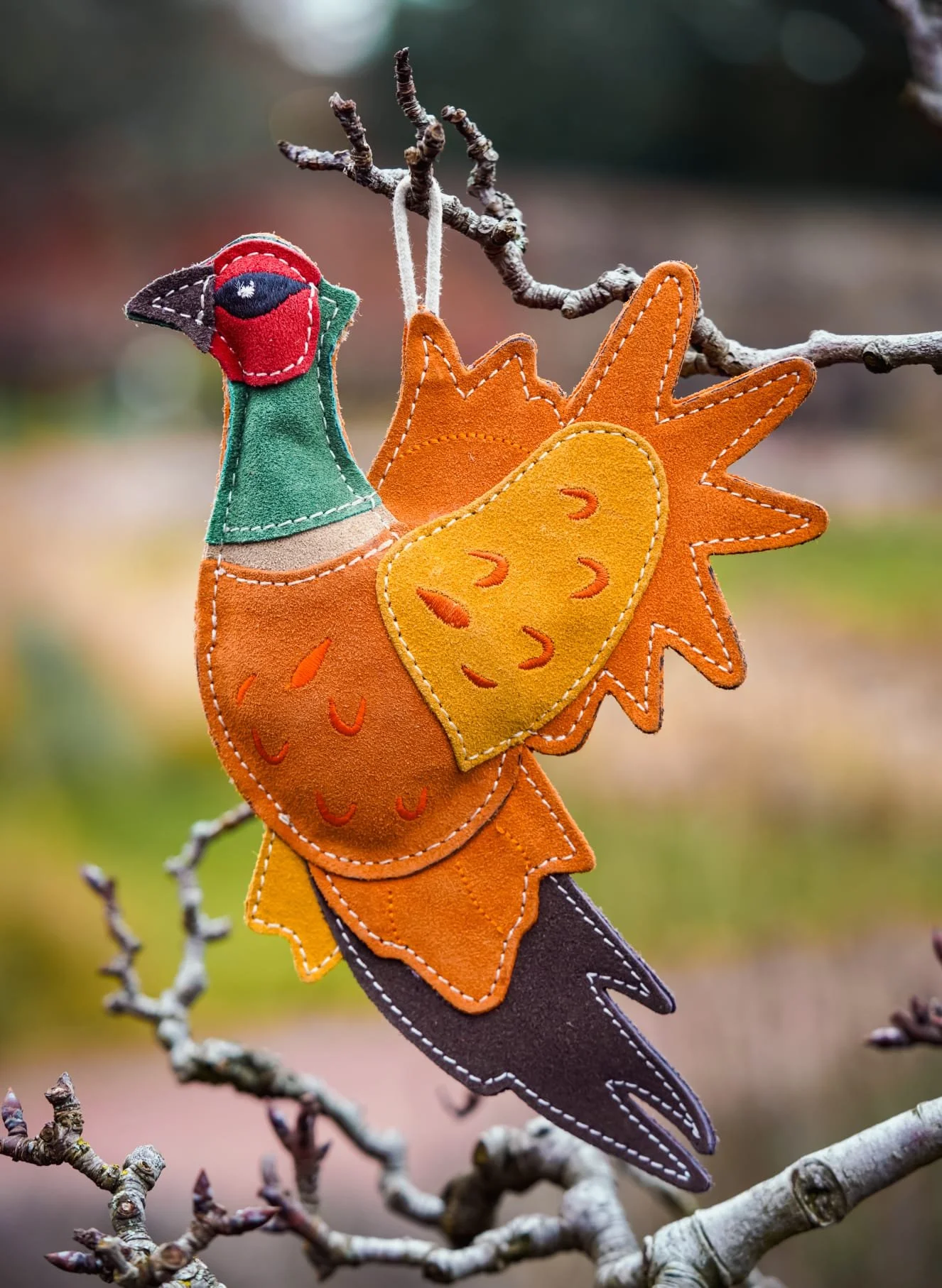 Bracken the Pheasant.jpeg