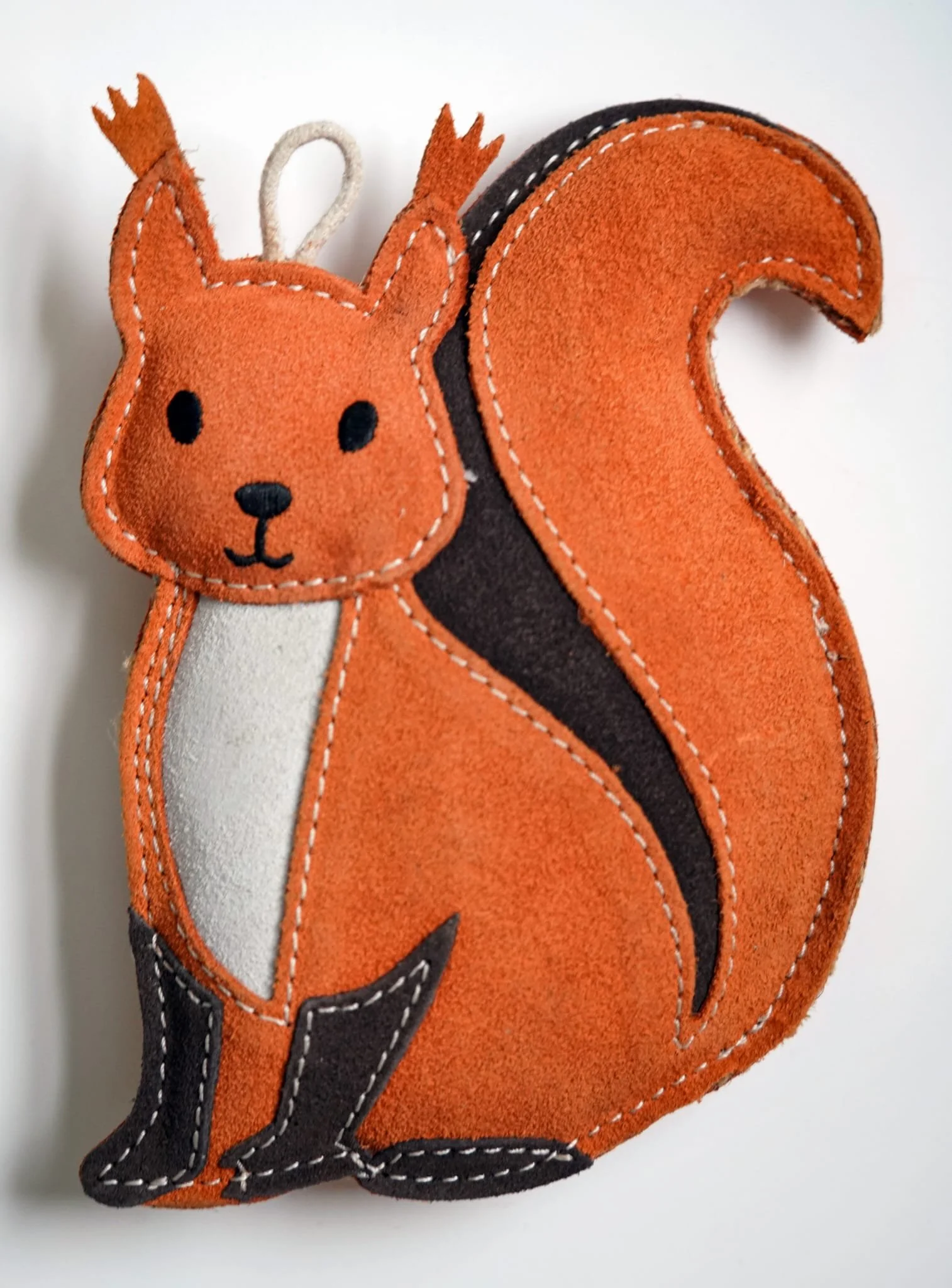 Hazel the Squirrel..jpeg