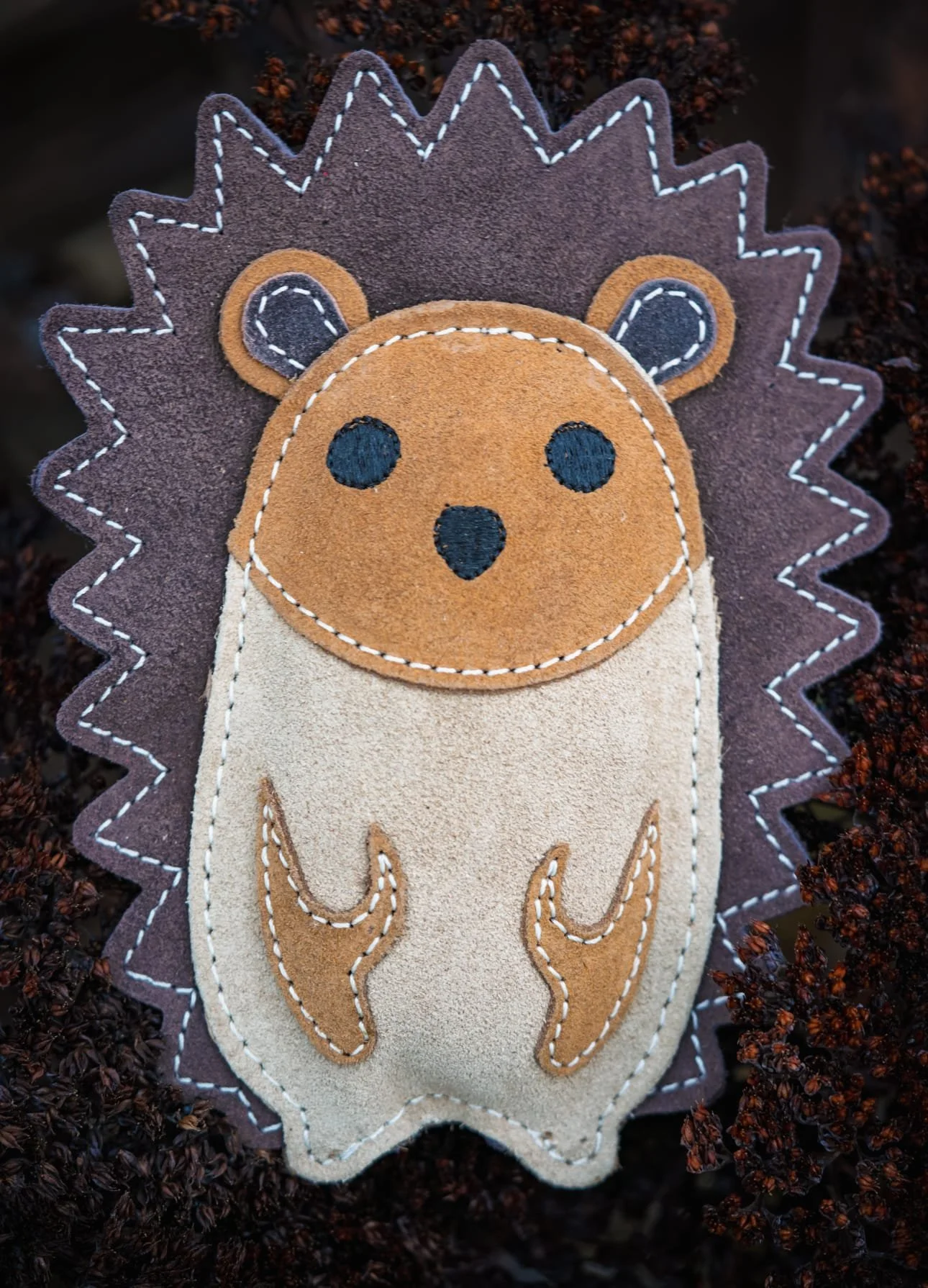 Bramble the Hedgehog.jpeg