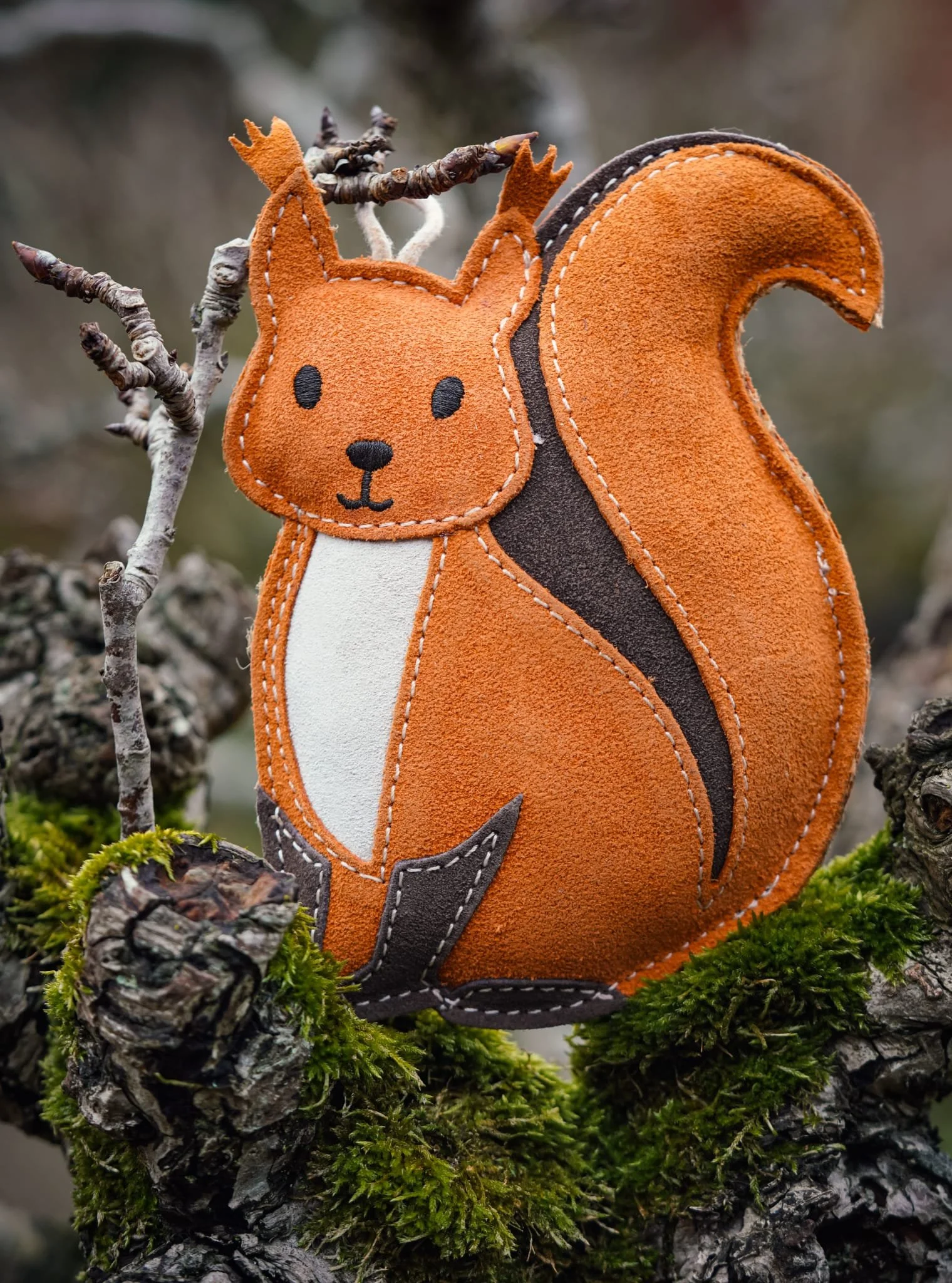 hazel the squirrel.jpeg