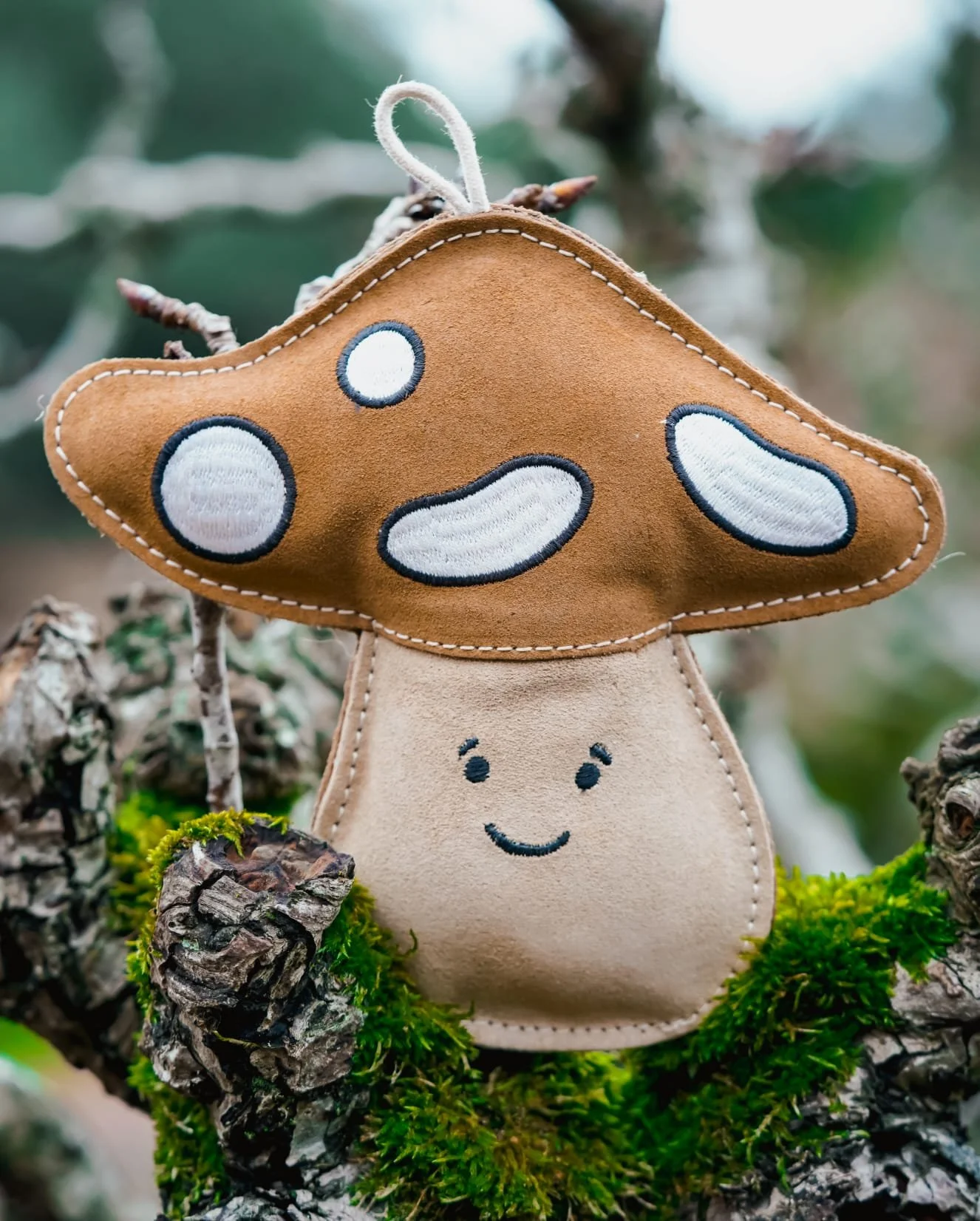 WhatsApp Image 2026-01-27 at 16.18.19.jpeg