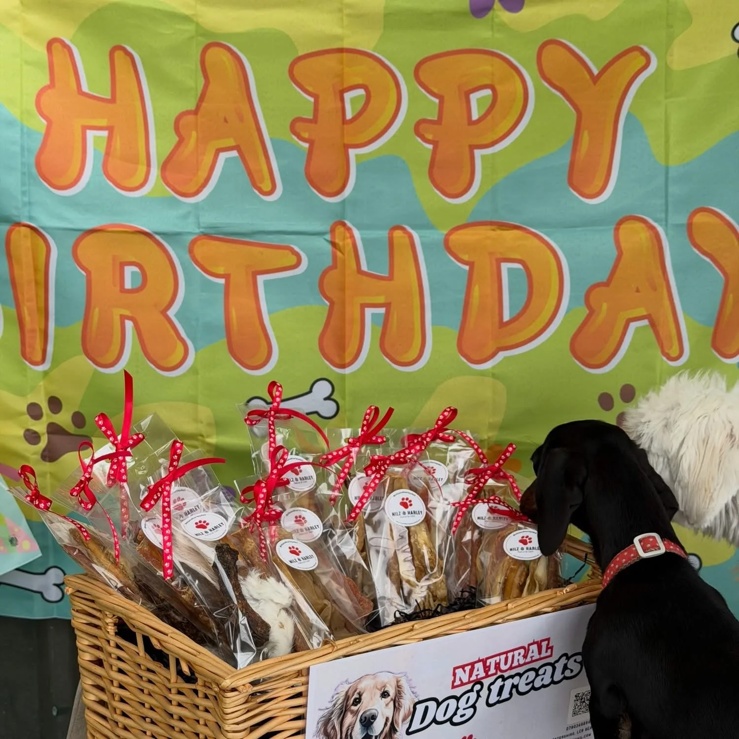 Birthday bags.JPG
