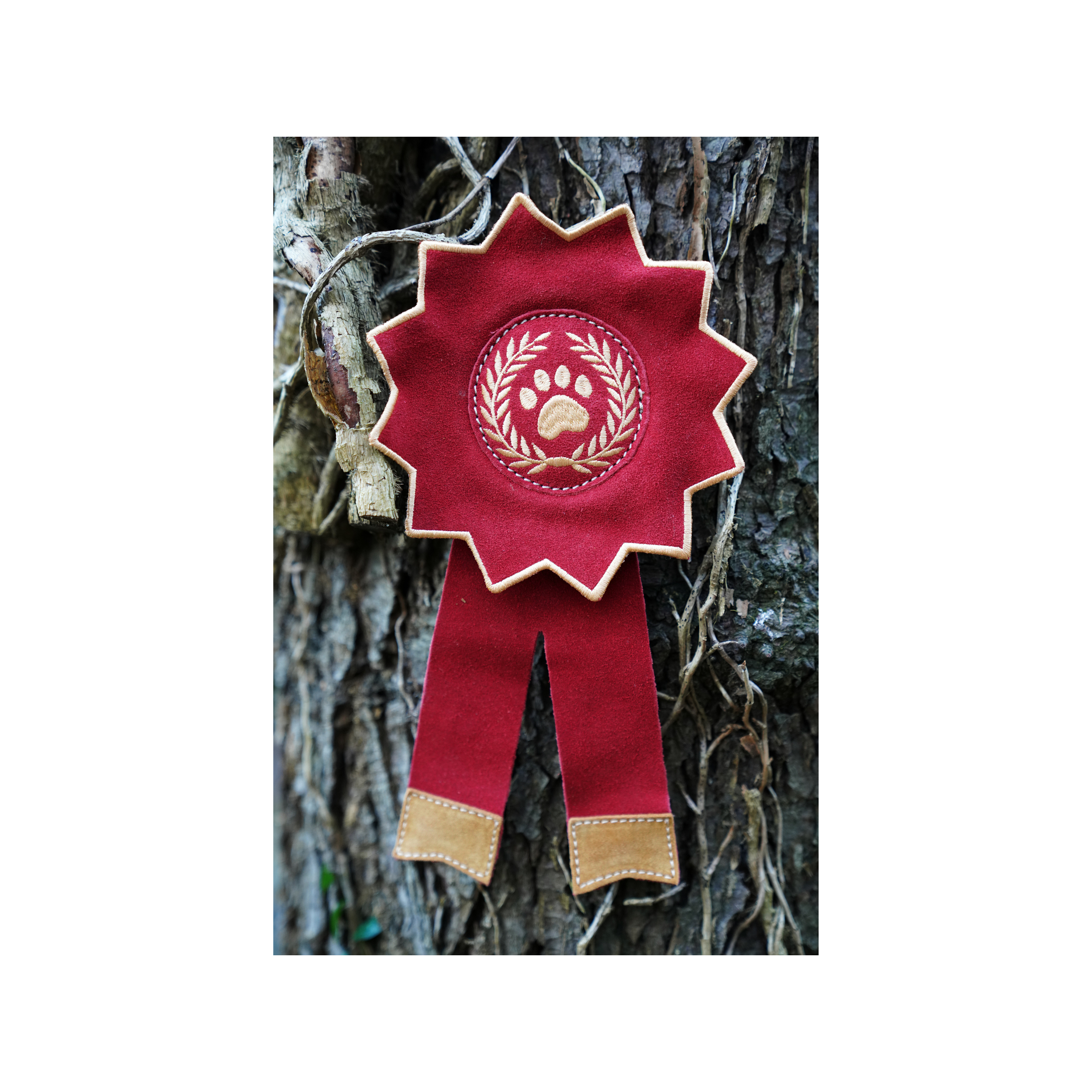 Untitled design (2).png