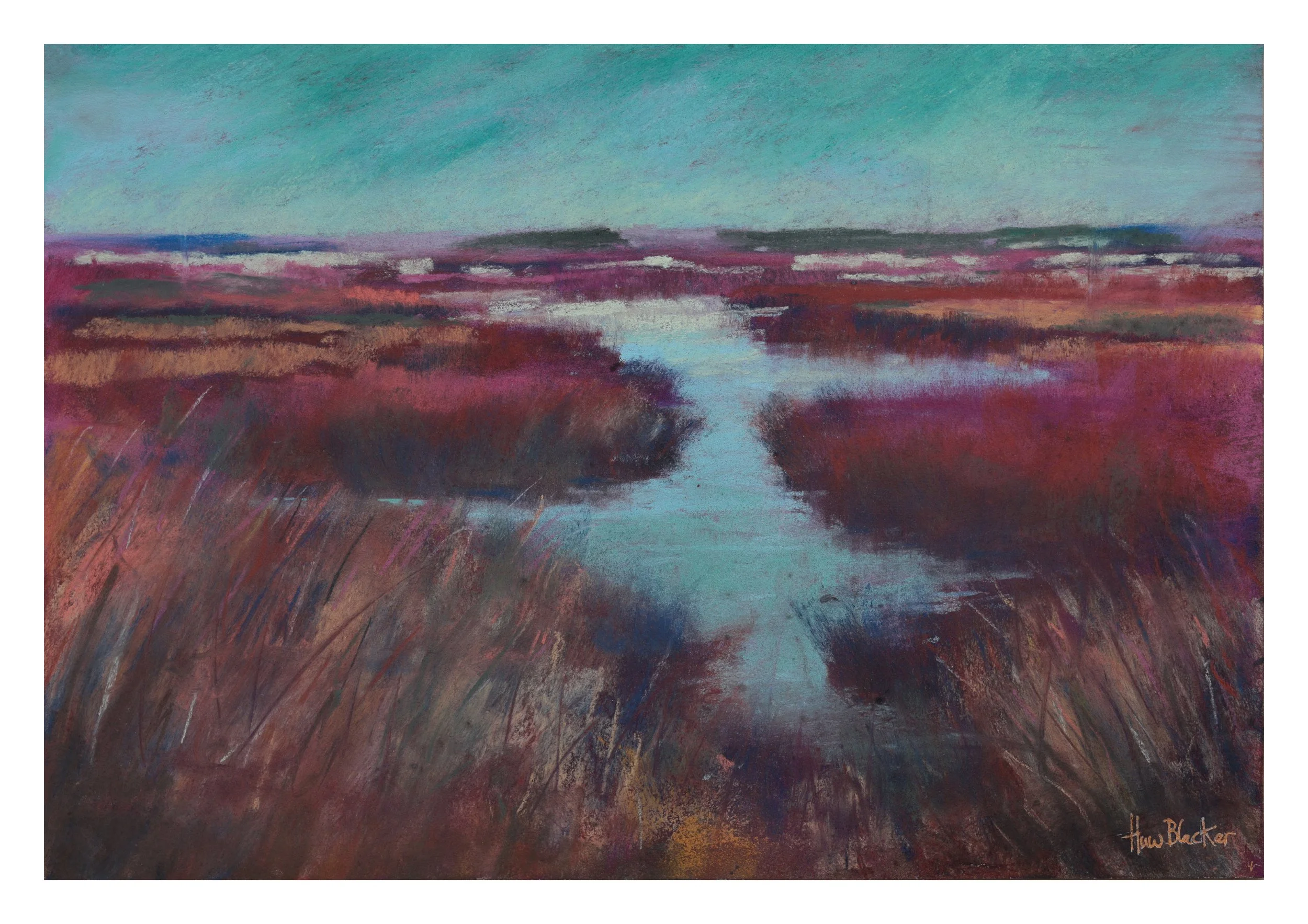 Salt Marshes A4.jpg