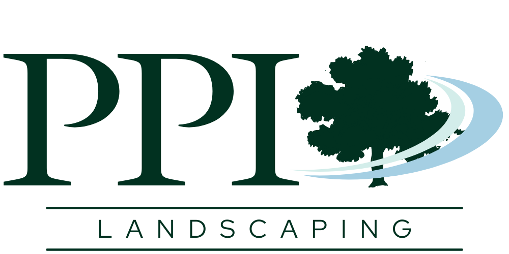 PPI Landscape