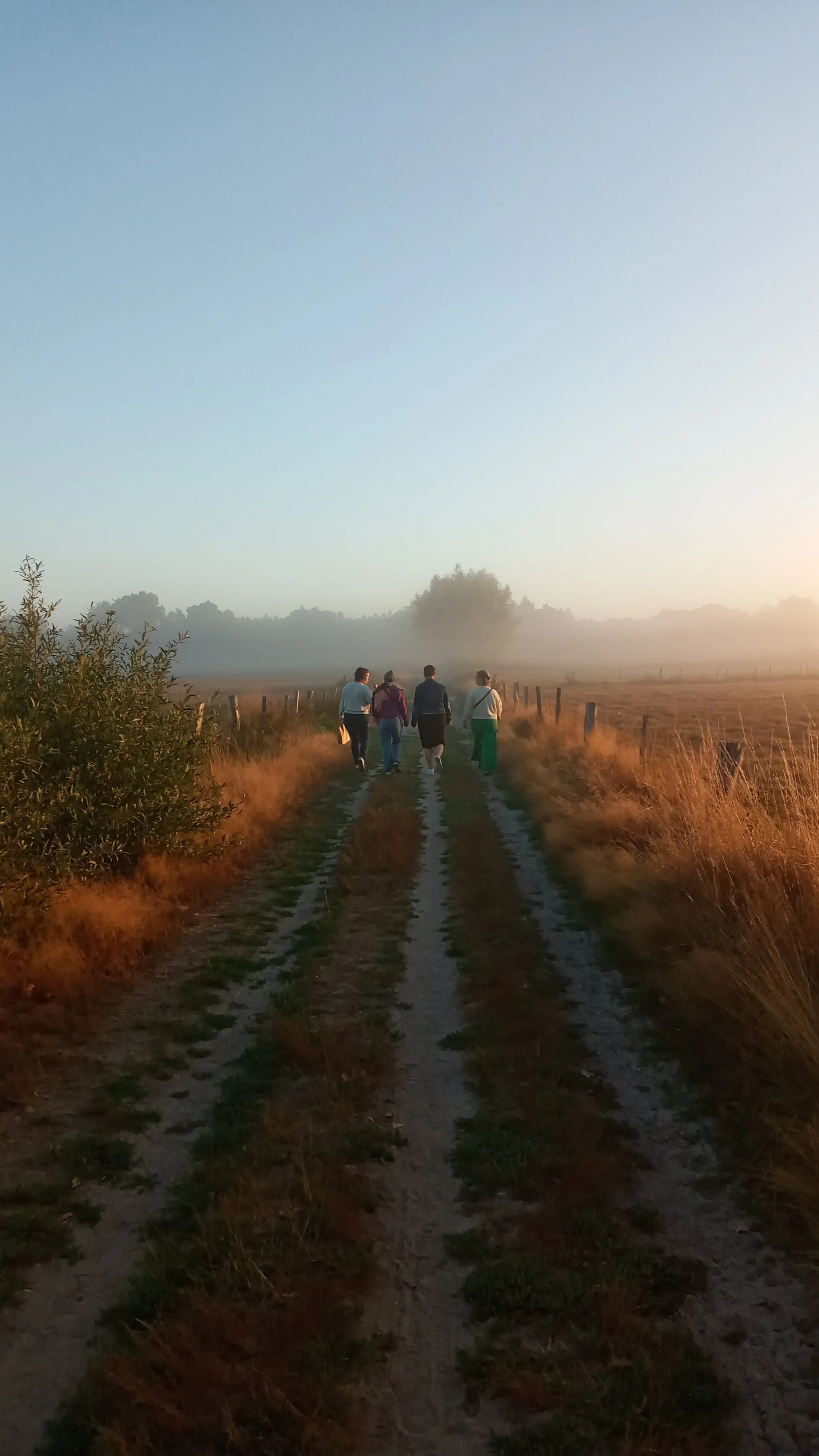 Vijf vrouwen wandelen in verbinding op een smal, onverhard pad door een uitgestrekt, mistig landschap bij zonsopgang, omringd door gras en lage struiken.