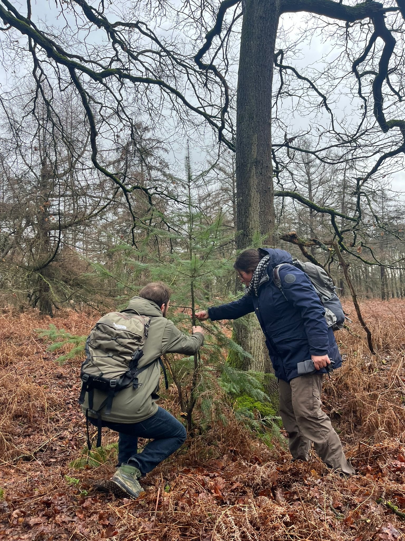 bosbaden in de winter douglas bosbadgids professionele begeleiding