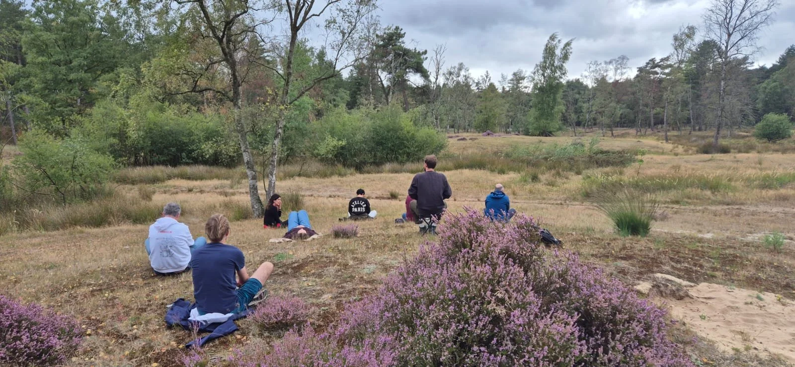 bosbaden, meditatie, tot rust komen, gronden, vertragen, Kalmthoutse Heide