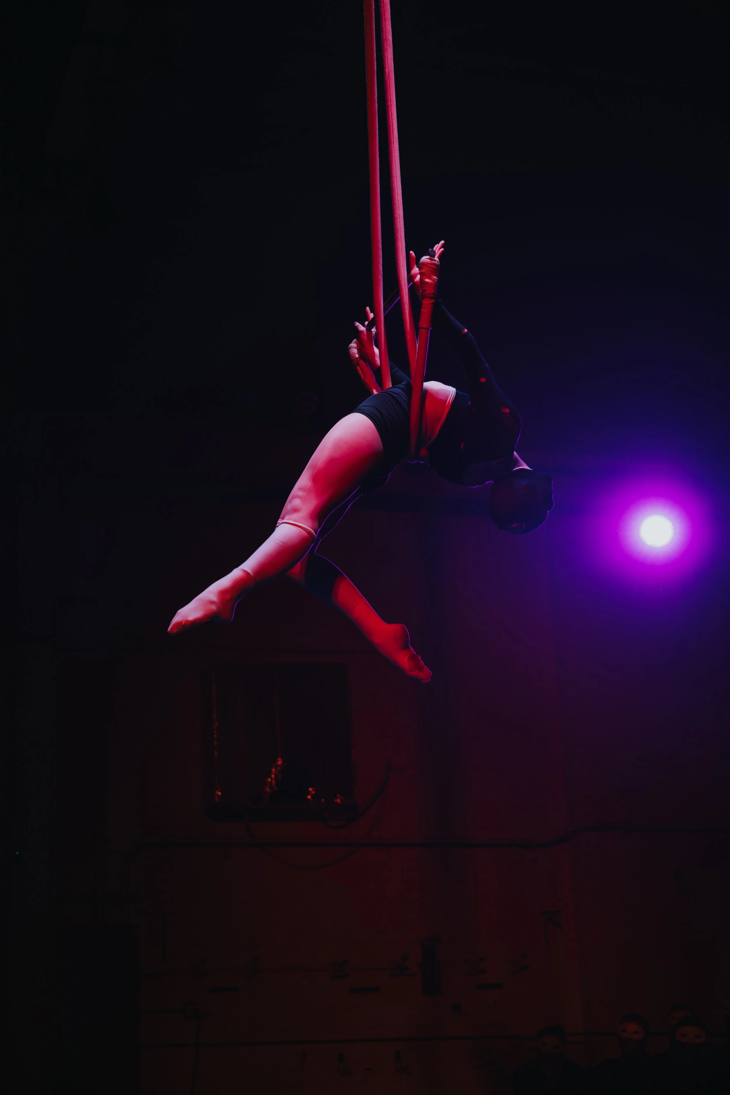 Fall Secret Circus Philly Show | 11-25  | Philadelphia | Contigo Photos + Films-SMR_6951.jpg