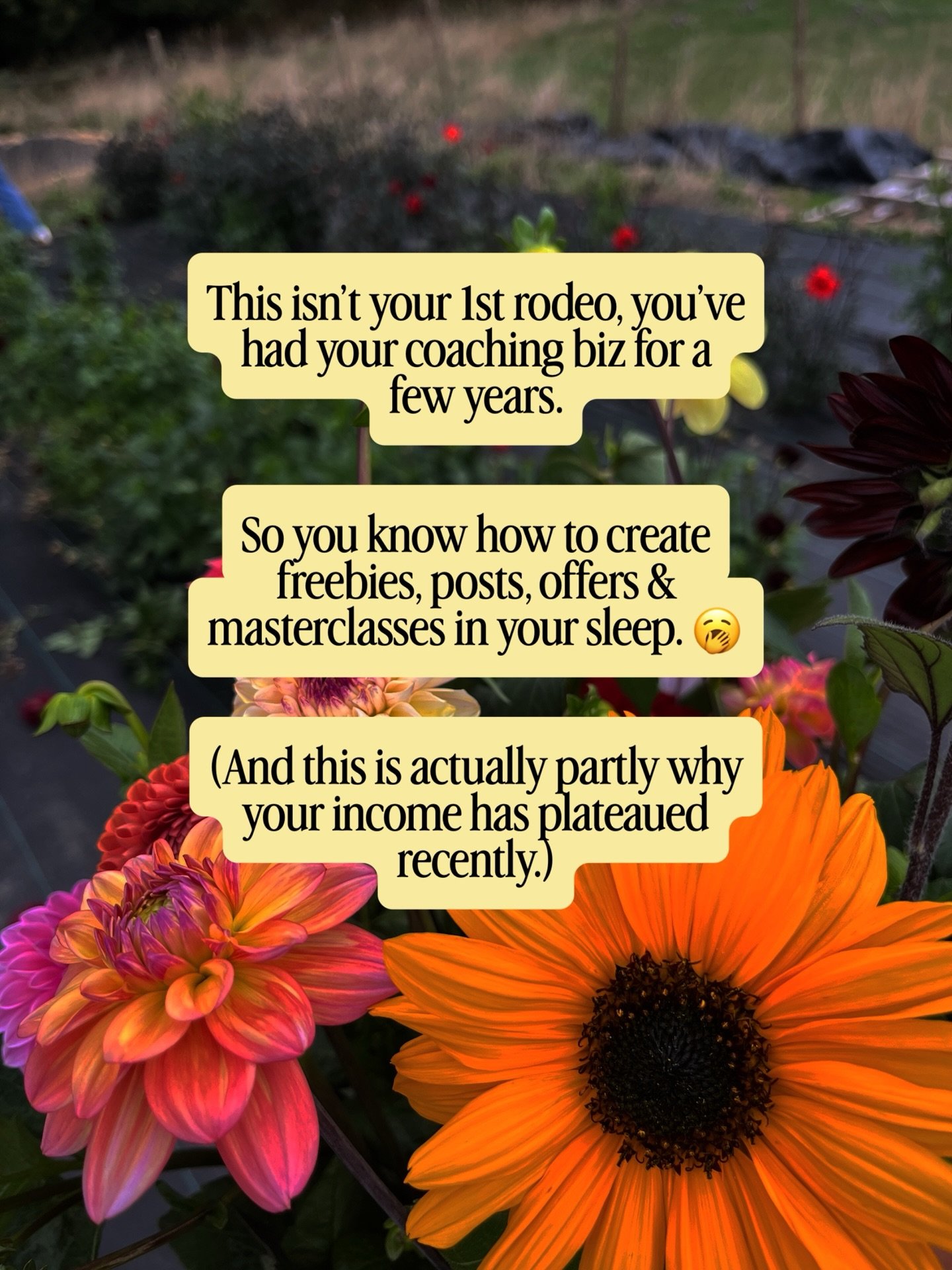 You&rsquo;re a coach so I&rsquo;m not here to patronise you. 🙃

You know all too well how powerful it can be to understand your limiting beliefs when it comes to unlocking your potential. 

It&rsquo;s what you help your own clients with every single
