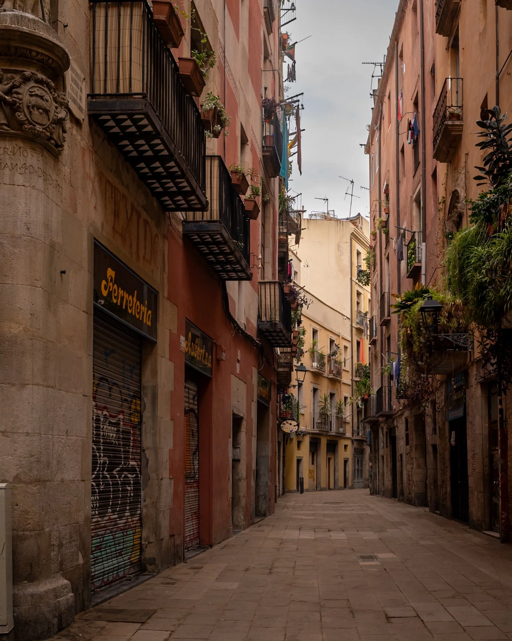 Spain-1007126.jpg