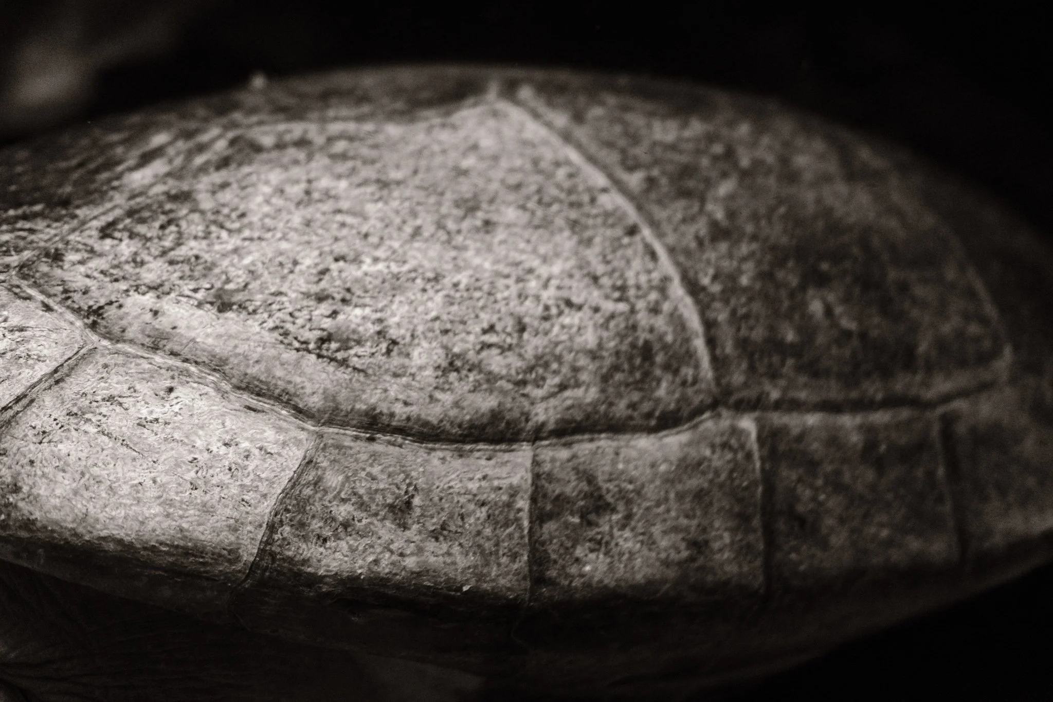 FaehlDSCF3136 (2)-2022-04-27.jpg