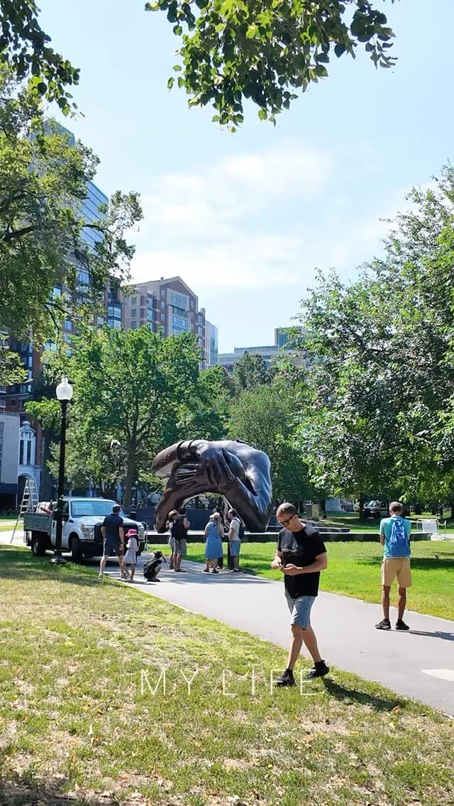 Boston: una ciudad que parece un cuento de hadas.
Calles adoquinadas bajo tus pies, lámparas de gas iluminando el camino al atardecer, el río Charles centelleando bajo el sol de la tarde.
Aquí no sólo se camina a través de la historia, sino que se l