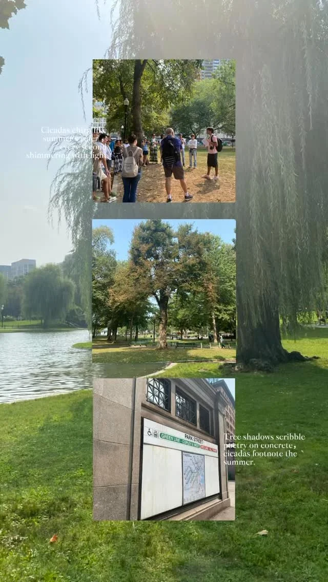 🎒 ¡Boston = historia con un toque de diversión!
Sigue los ladrillos rojos, persigue el olor a cannoli fresco en el North End, monta en los Swan Boats y saca tu mejor foto empedrada en Acorn Street. 📸
Boston no es sólo una lección de historia.
