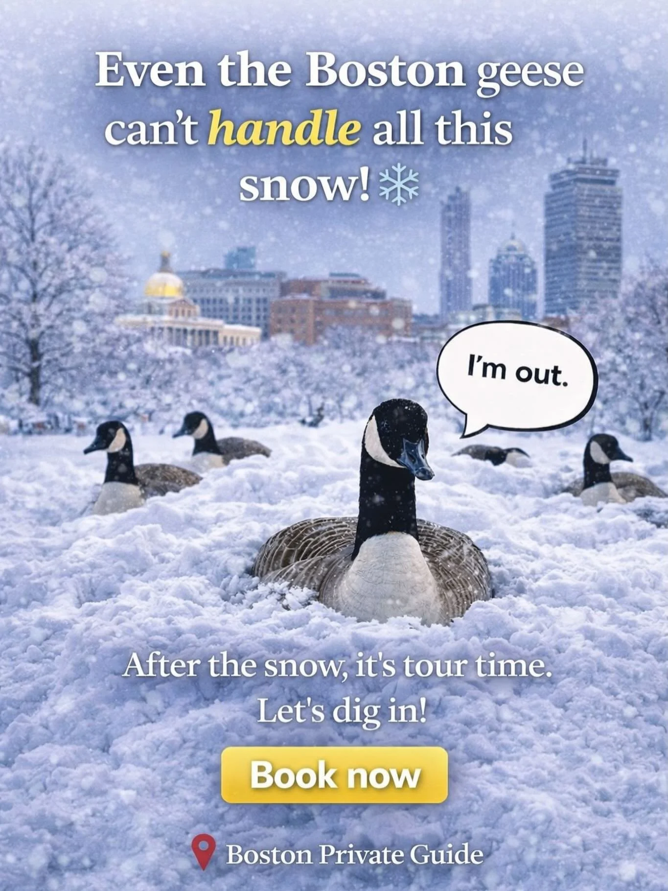 #BostonPrivateGuide #BostonWinter #ExploreBoston #PrivateTours #VisitBoston WinterVibes TravelUSA BostonGeese
