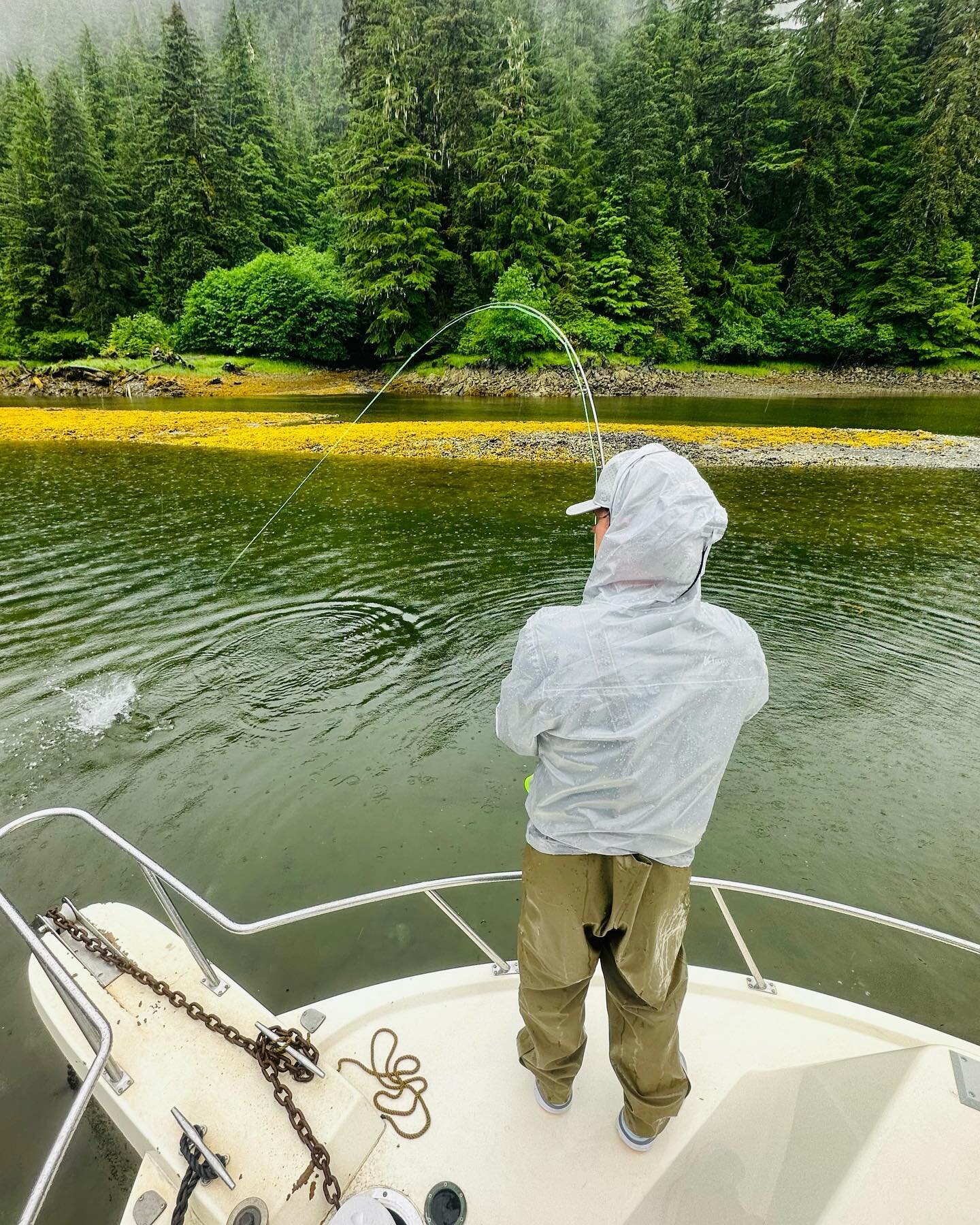 Today we got Chris on his first salmon using a fly rod. He was in town only for a few hours while on a @windstarcruises 
We persevered through the rain and had a blast! #sitka #alaska #tour #cruise #fishing #flyfish #alaskan #sitkaalaska #visitsitka 