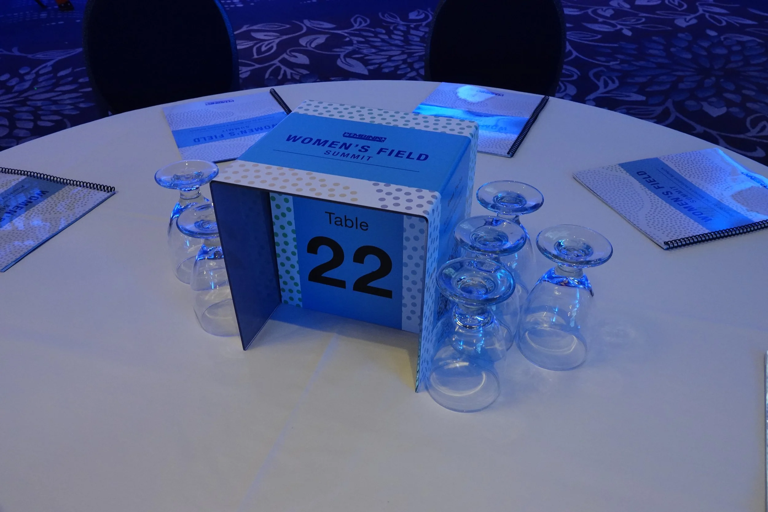 Brand Alive Inc_Pembina Women's Field Summit 2023_2.JPG