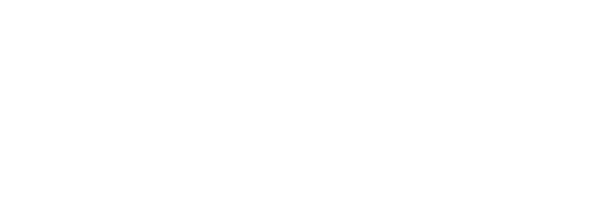 Company logo image Footer