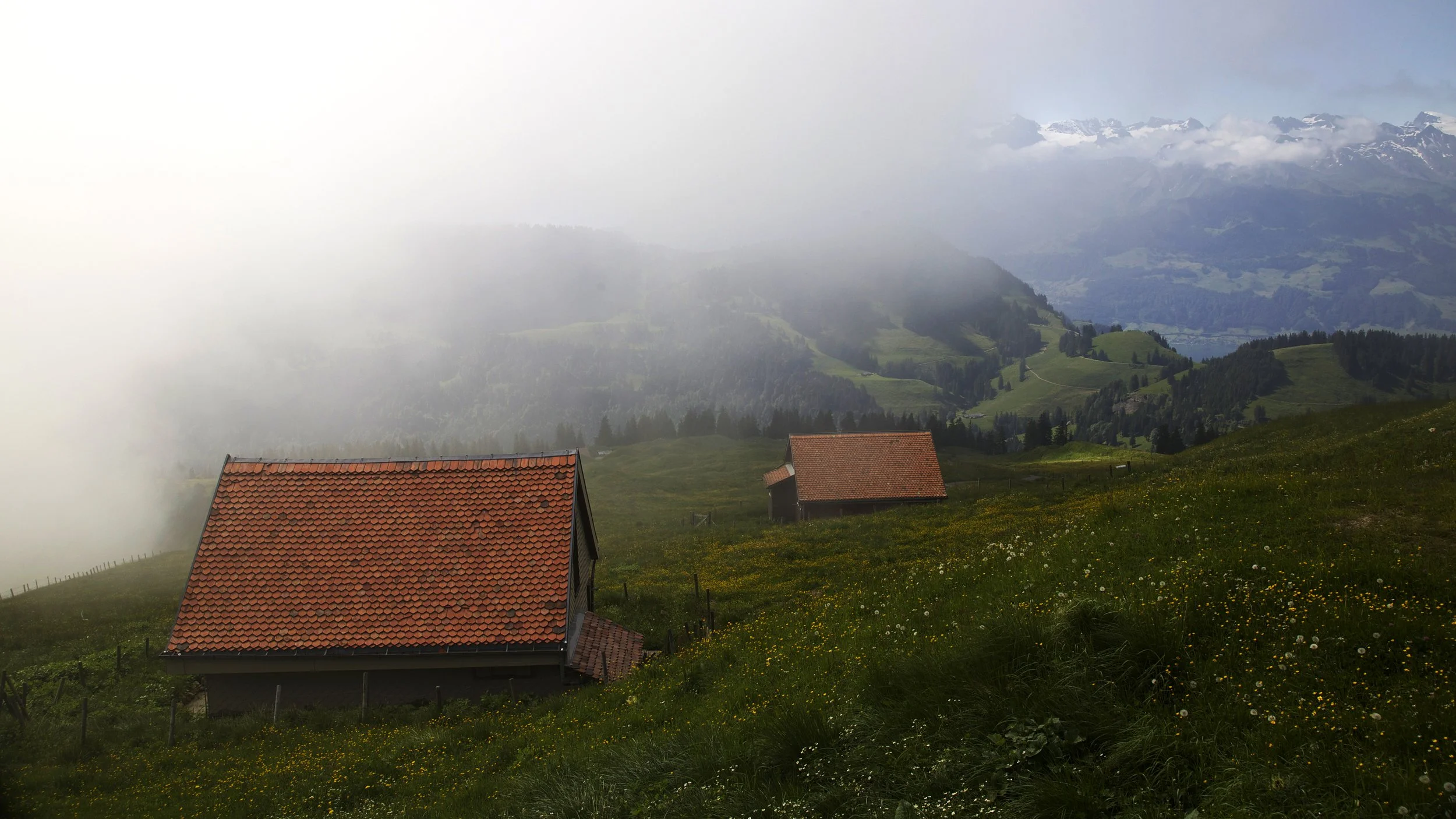 first cliff walk, grindelwald, switzerland