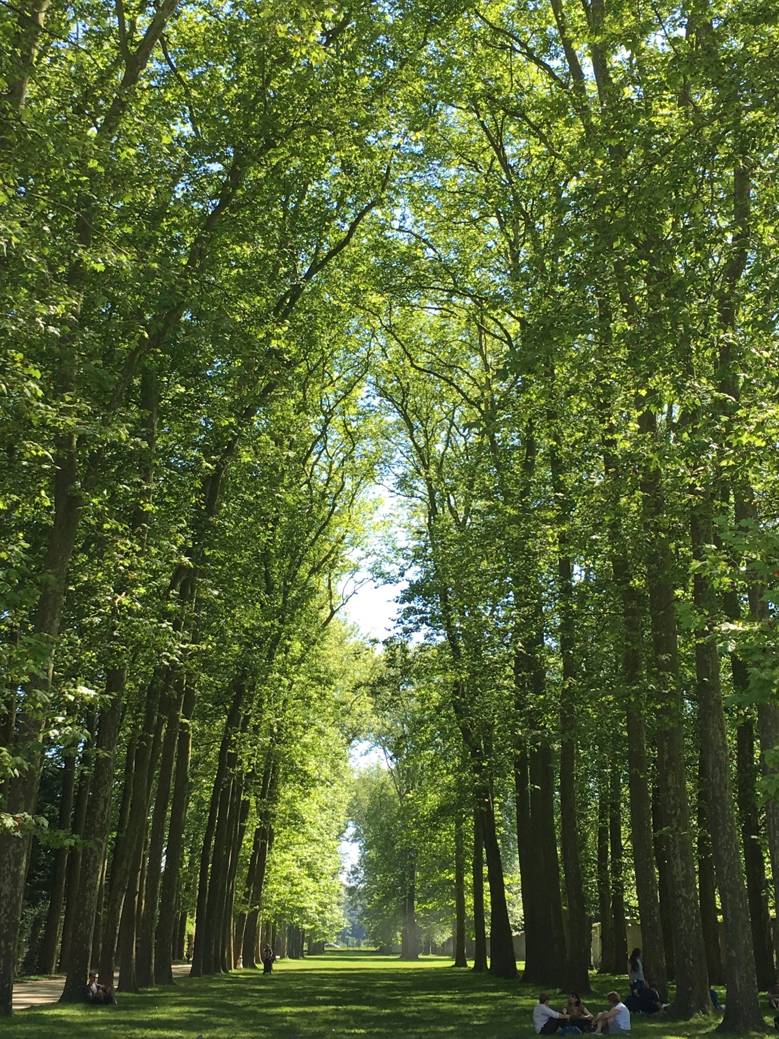 palace of versailles, france